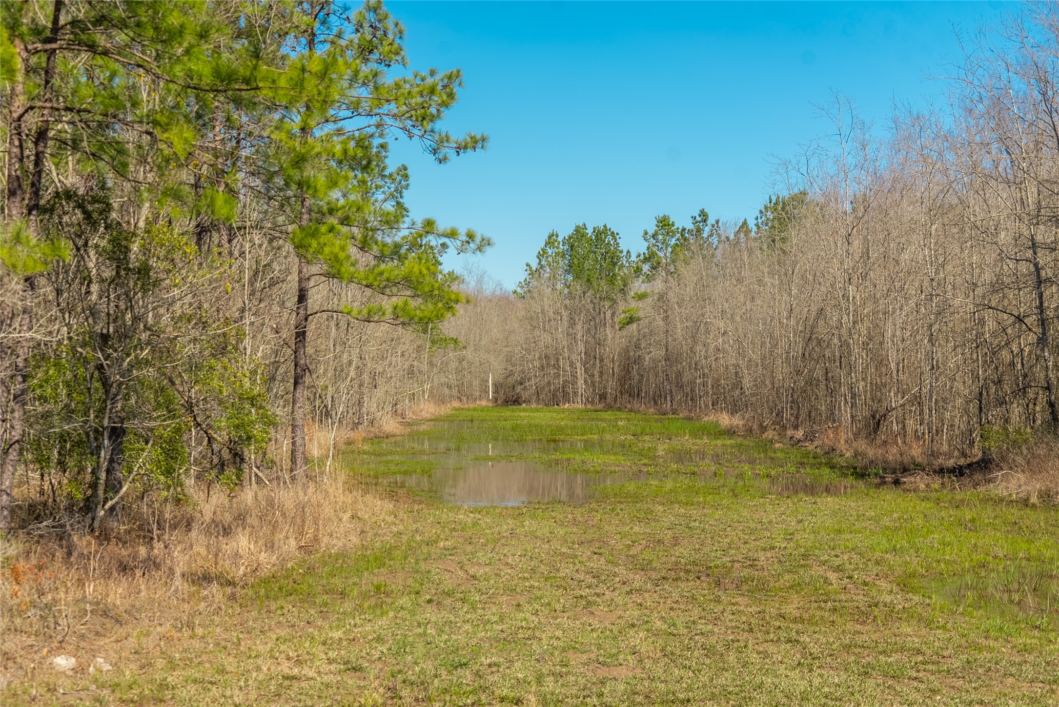 TBD County Road 716 , Jasper, TX, 77612 | 1726963 | Realty Texas LLC