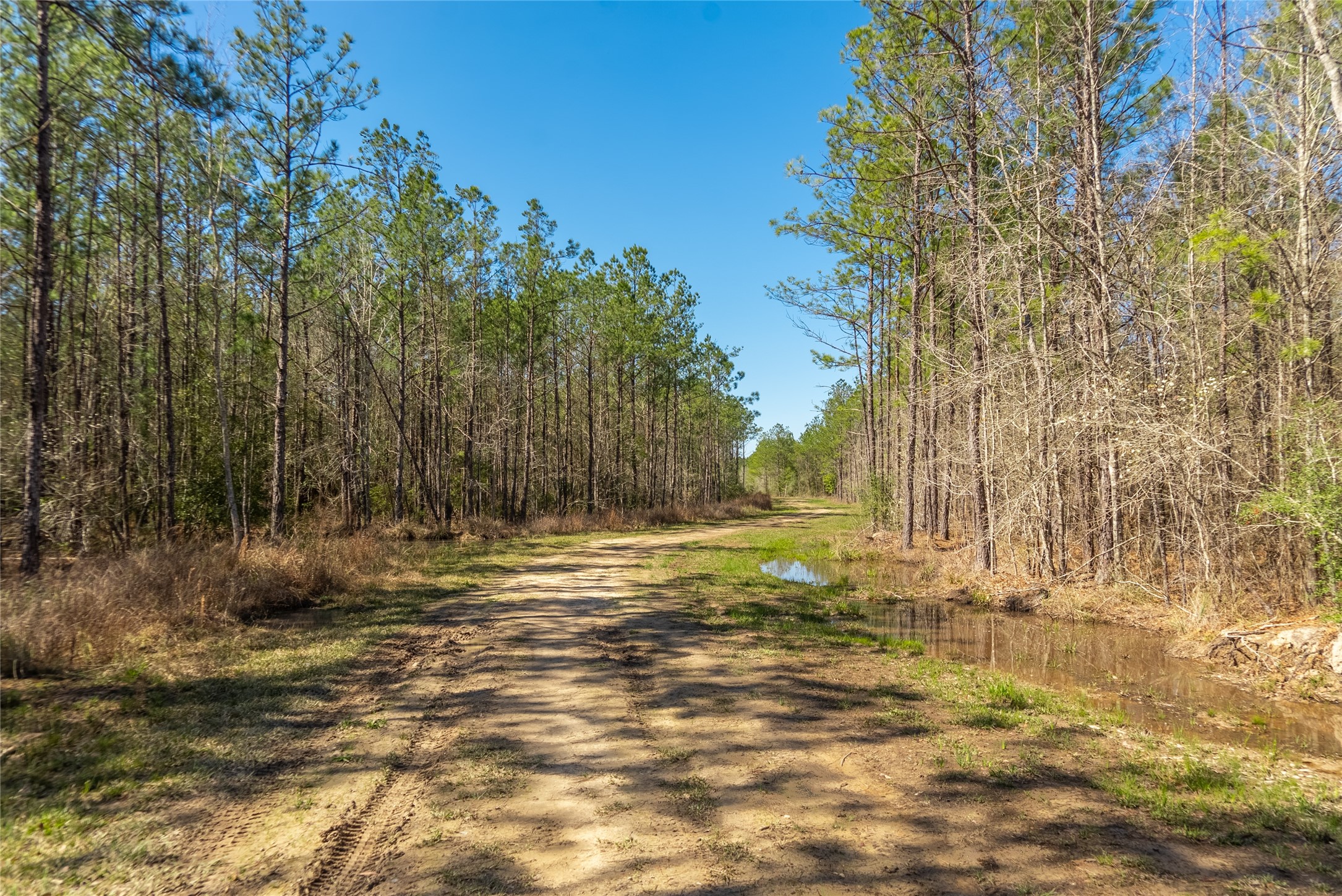 TBD County Road 716 , Jasper, TX, 77612 | 1726963 | Realty Texas LLC
