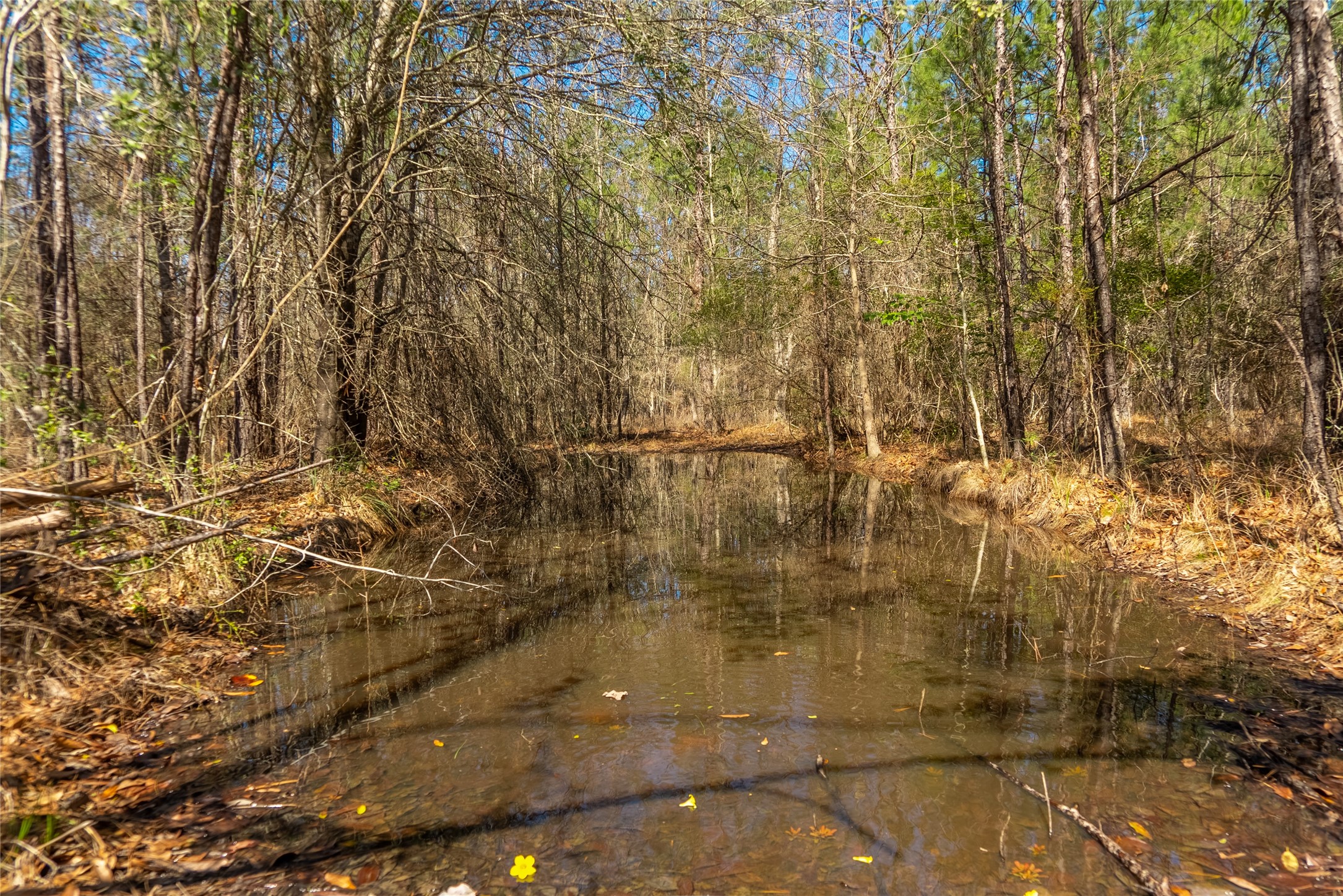 TBD County Road 716 , Jasper, TX, 77612 | 1726963 | Realty Texas LLC