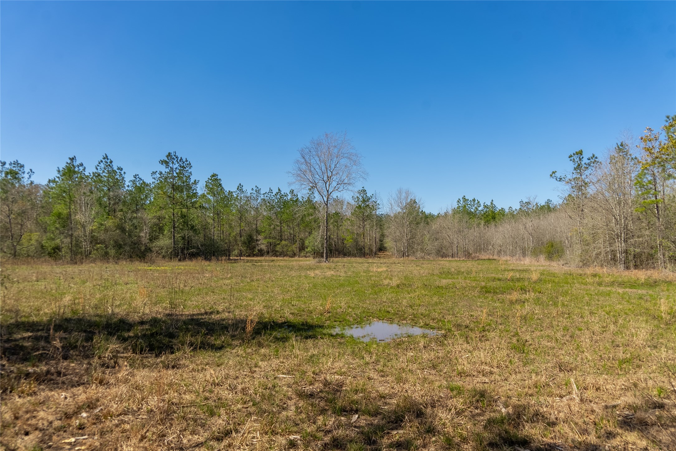 TBD County Road 716 , Jasper, TX, 77612 | 1726963 | Realty Texas LLC