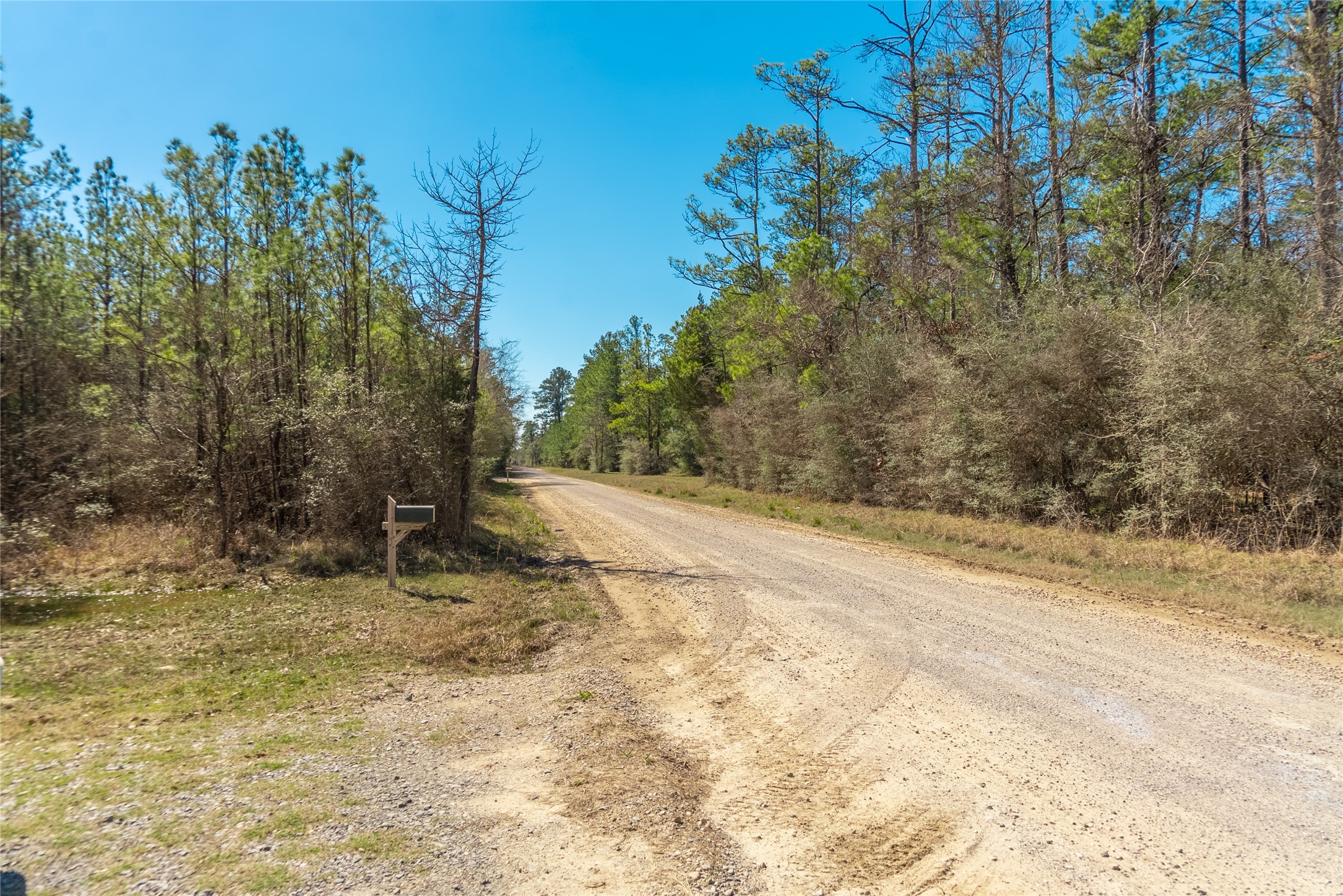TBD County Road 716 , Jasper, TX, 77612 | 1726963 | Realty Texas LLC