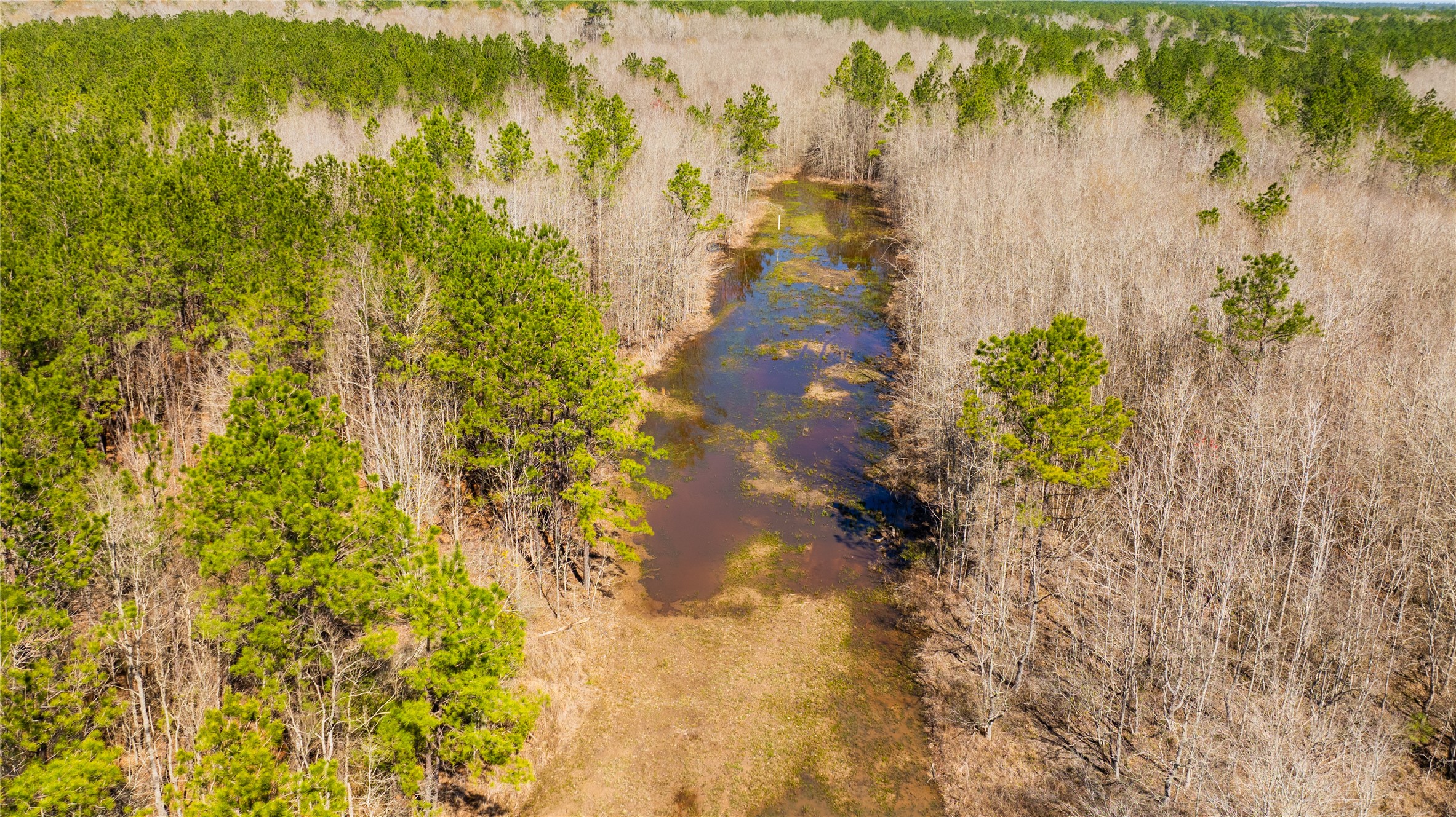 TBD County Road 716 , Jasper, TX, 77612 | 1726963 | Realty Texas LLC