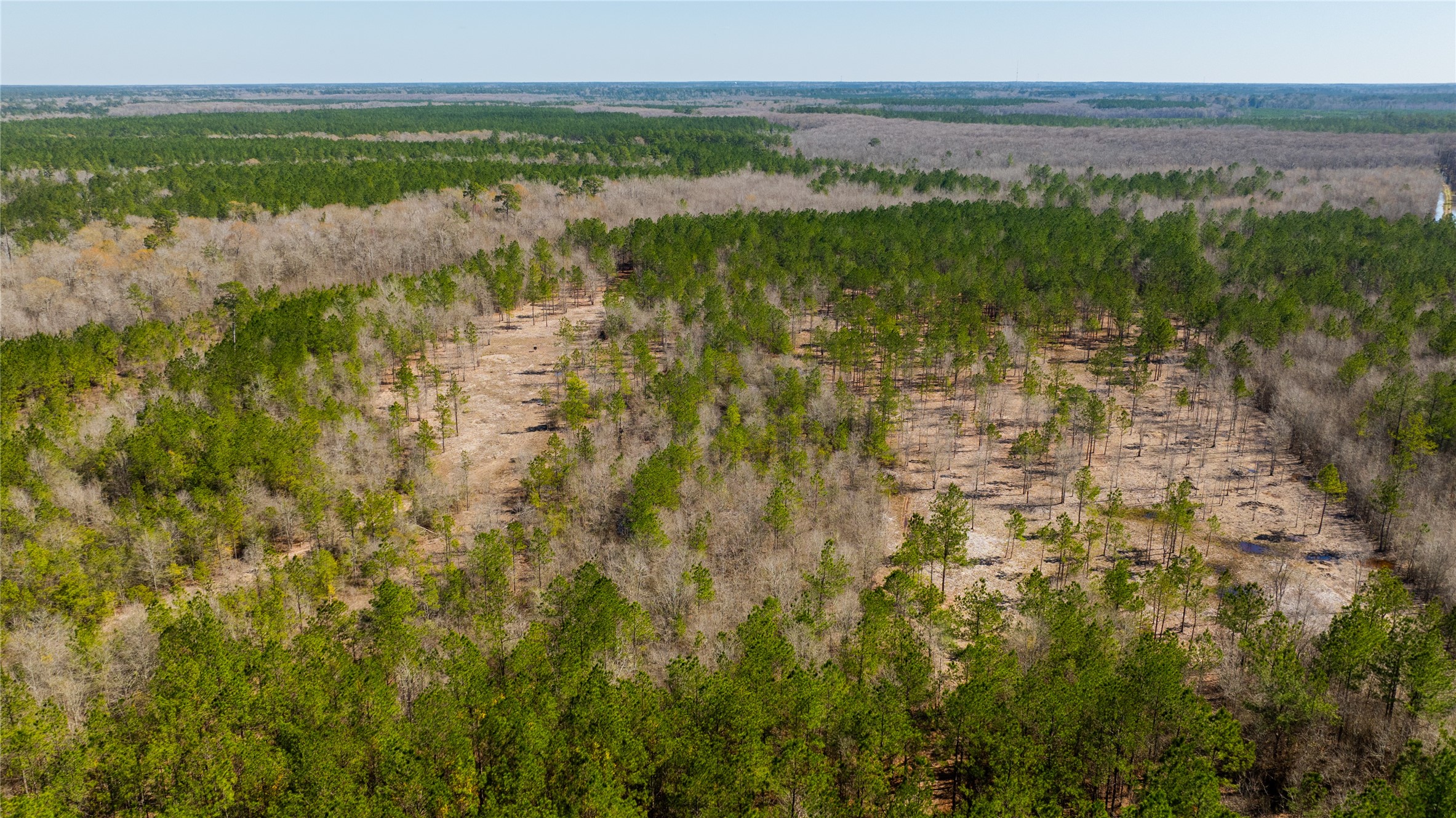 TBD County Road 716 , Jasper, TX, 77612 | 1726963 | Realty Texas LLC