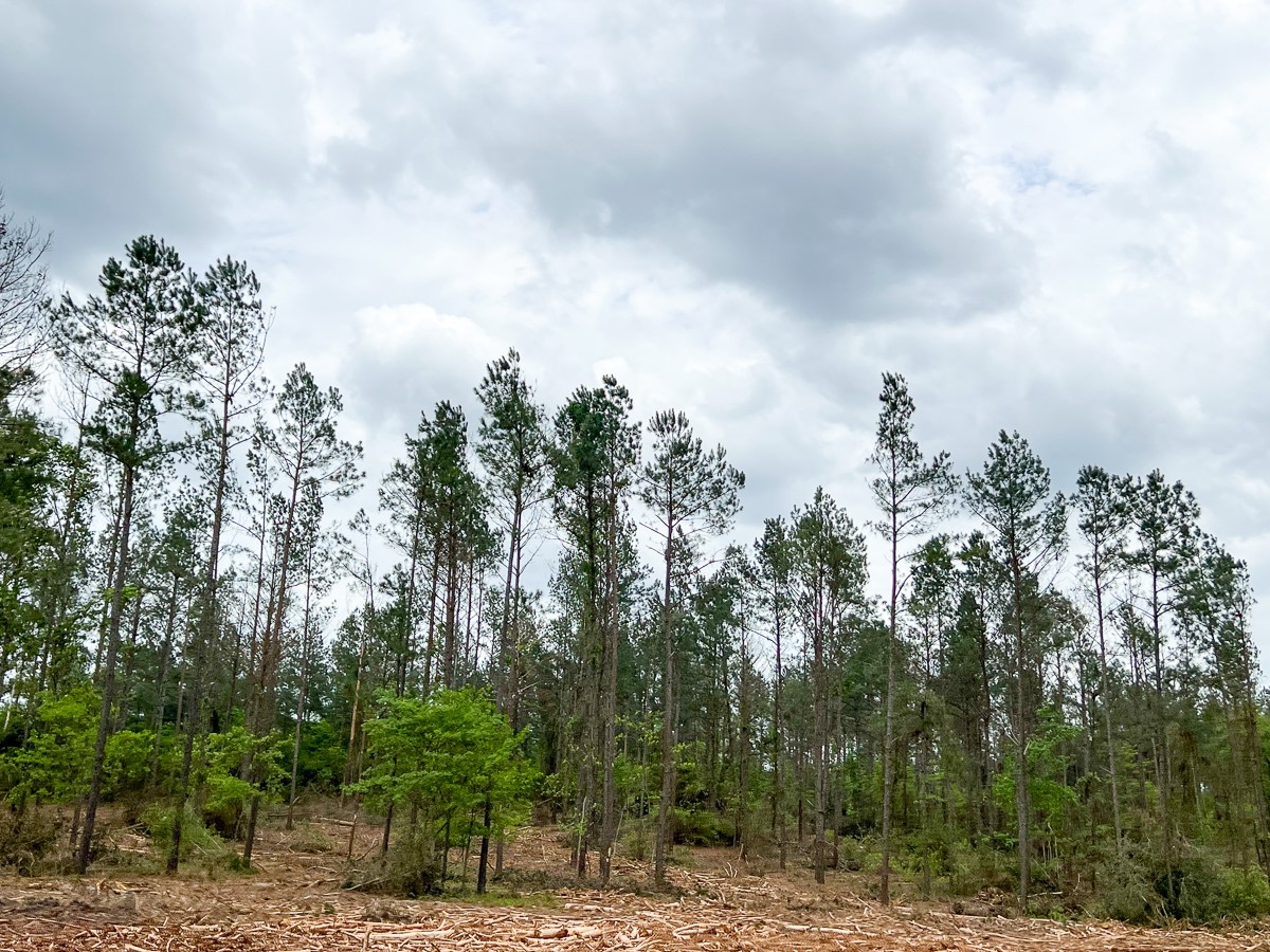 15 CR 2140 , Latexo, TX, 75835 | 20619013 | Realty Texas LLC