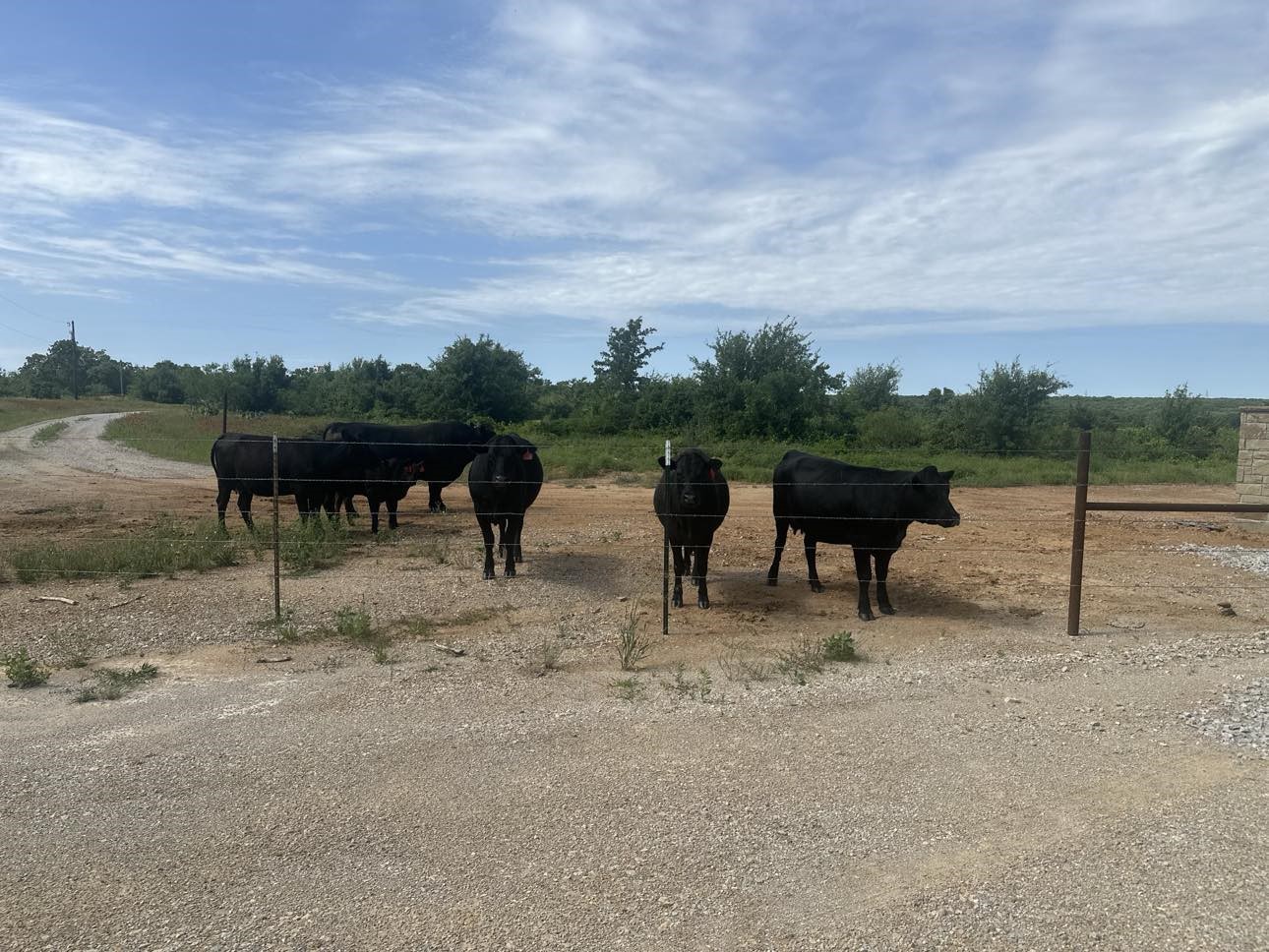 Lot 79 Paradise Oaks, Perrin, TX, 76486 | 20618004 | Realty Texas LLC