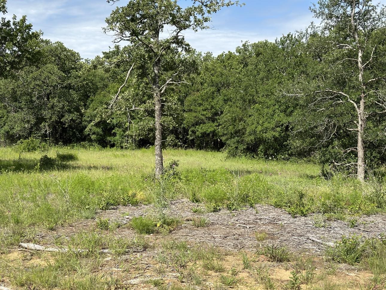 Lot 79 Paradise Oaks, Perrin, TX, 76486 | 20618004 | Realty Texas LLC