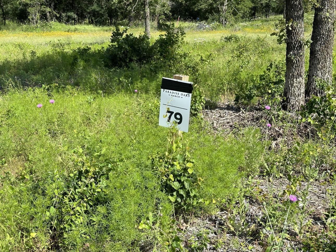 Lot 79 Paradise Oaks, Perrin, TX, 76486 | 20618004 | Realty Texas LLC