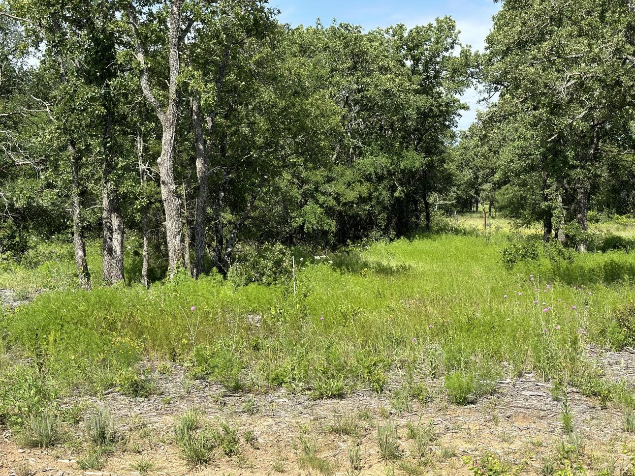 Lot 79 Paradise Oaks, Perrin, TX, 76486 | 20618004 | Realty Texas LLC