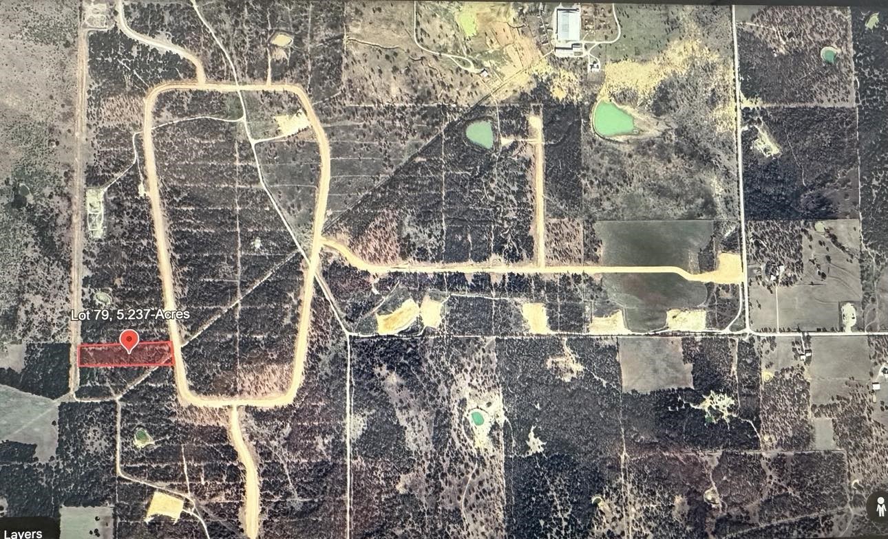 Lot 79 Paradise Oaks, Perrin, TX, 76486 | 20618004 | Realty Texas LLC