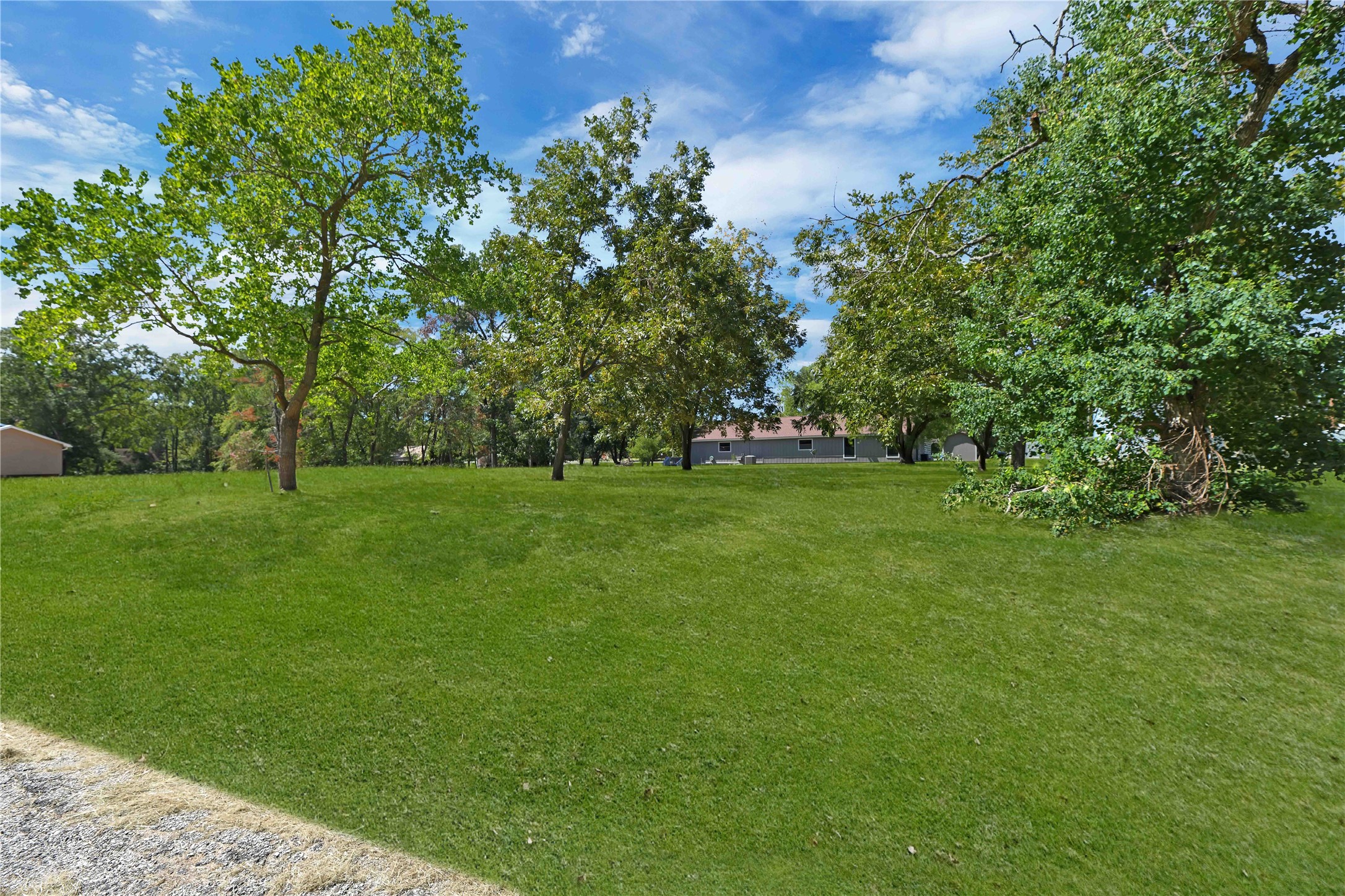 31 Governor Hogg Drive , Point Blank, TX, 77364 | 85777664 | Realty Texas LLC