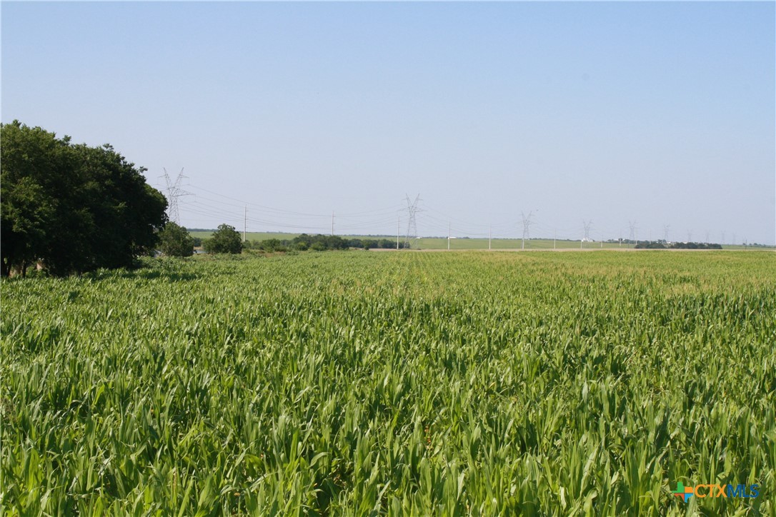 TBD Arthur Cemetery Road , Troy, TX, 76579 | 541613 | Realty Texas LLC