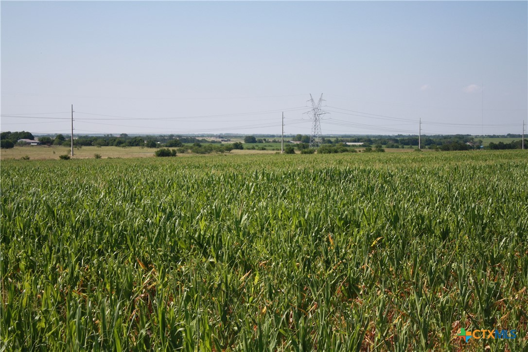 TBD Arthur Cemetery Road , Troy, TX, 76579 | 541613 | Realty Texas LLC