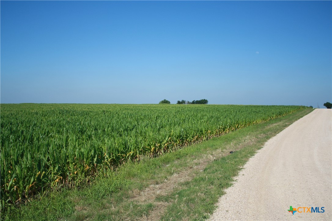 TBD Arthur Cemetery Road , Troy, TX, 76579 | 541613 | Realty Texas LLC