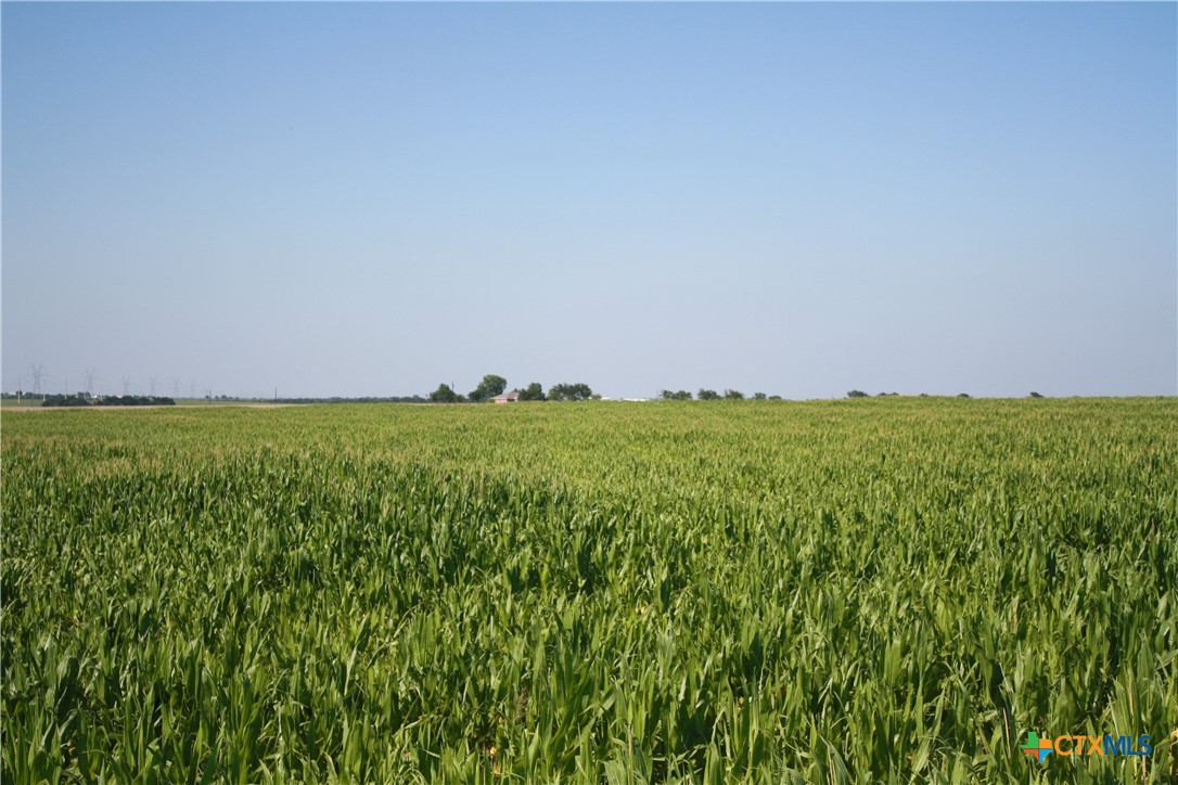 TBD Arthur Cemetery Road , Troy, TX, 76579 | 541613 | Realty Texas LLC