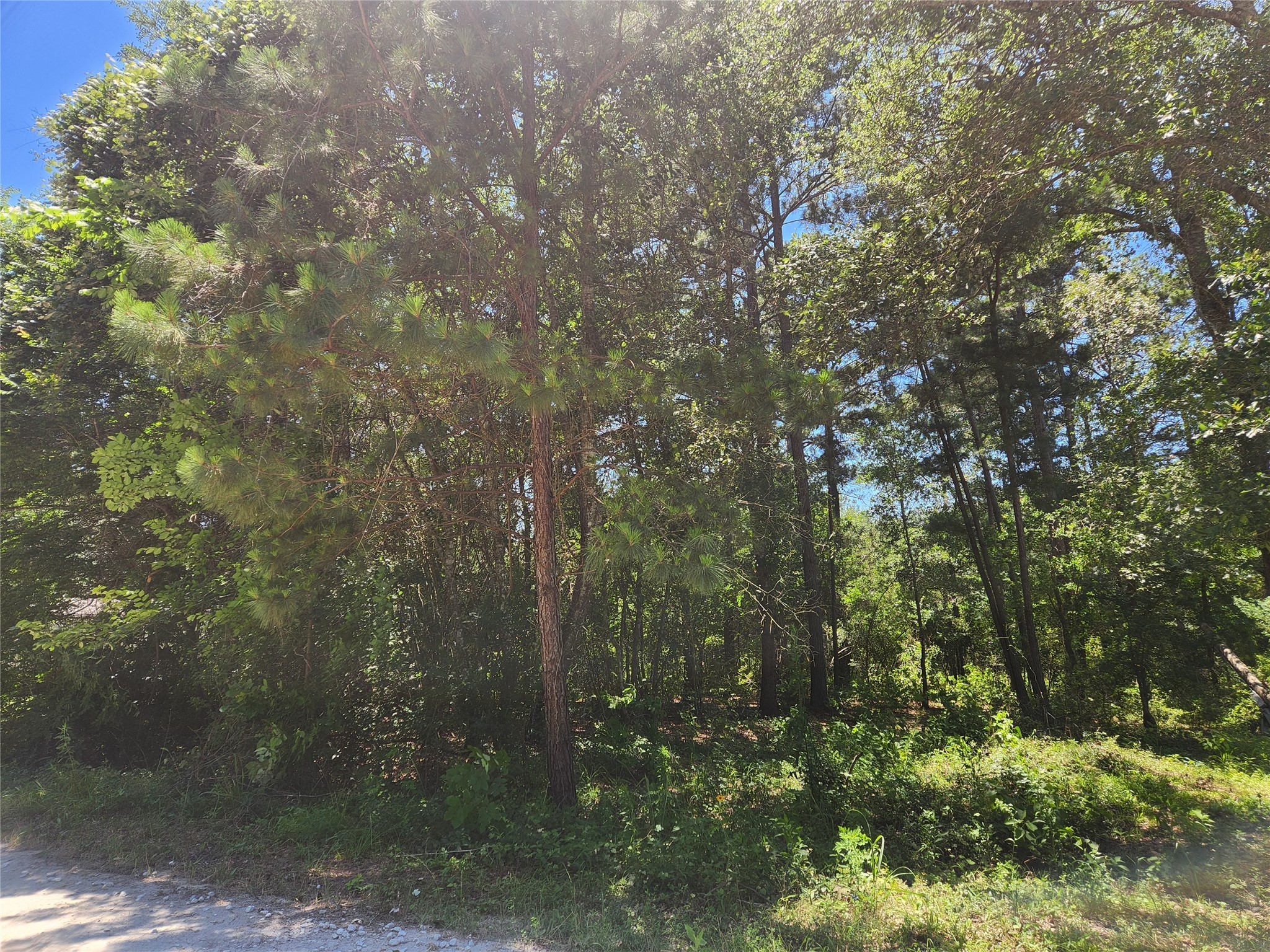 Lot 30 Mossyknoll Drive , Plantersville, TX, 77363 | 46669472 | Realty Texas LLC