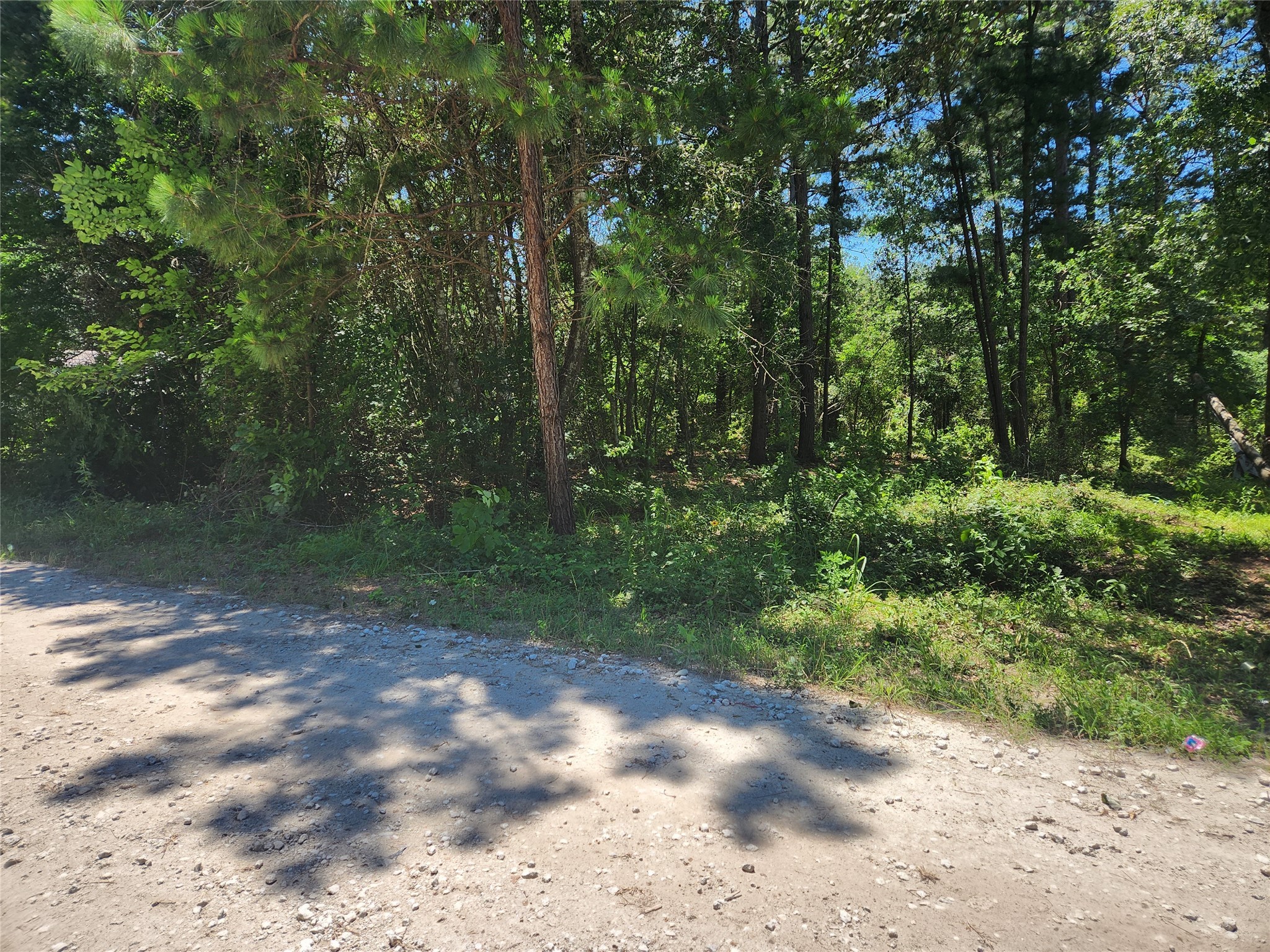 Lot 30 Mossyknoll Drive , Plantersville, TX, 77363 | 46669472 | Realty Texas LLC