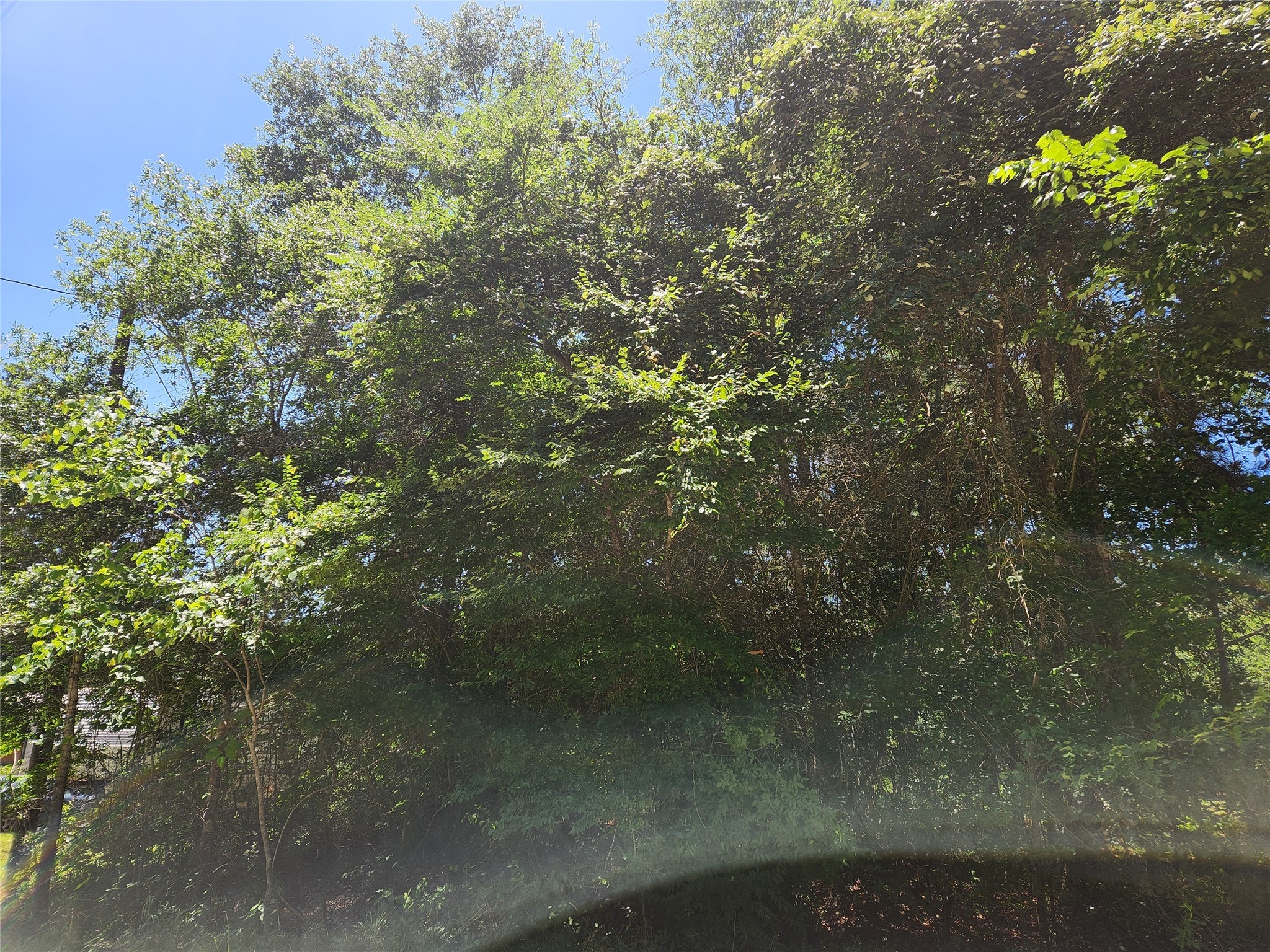 Lot 30 Mossyknoll Drive , Plantersville, TX, 77363 | 46669472 | Realty Texas LLC