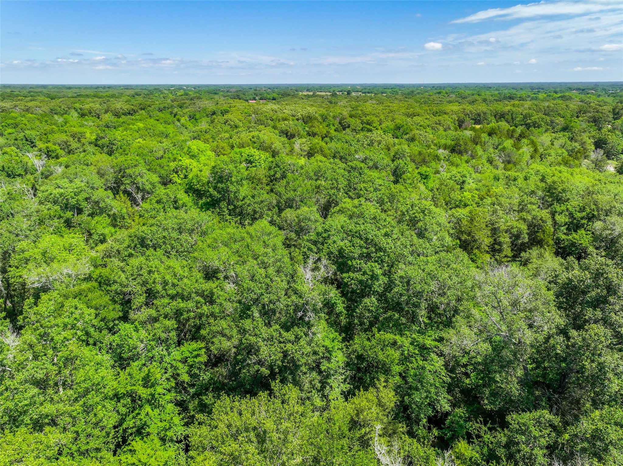 0 W County Road 2182 , Greenville, TX, 75402 | 20623106 | Realty Texas LLC