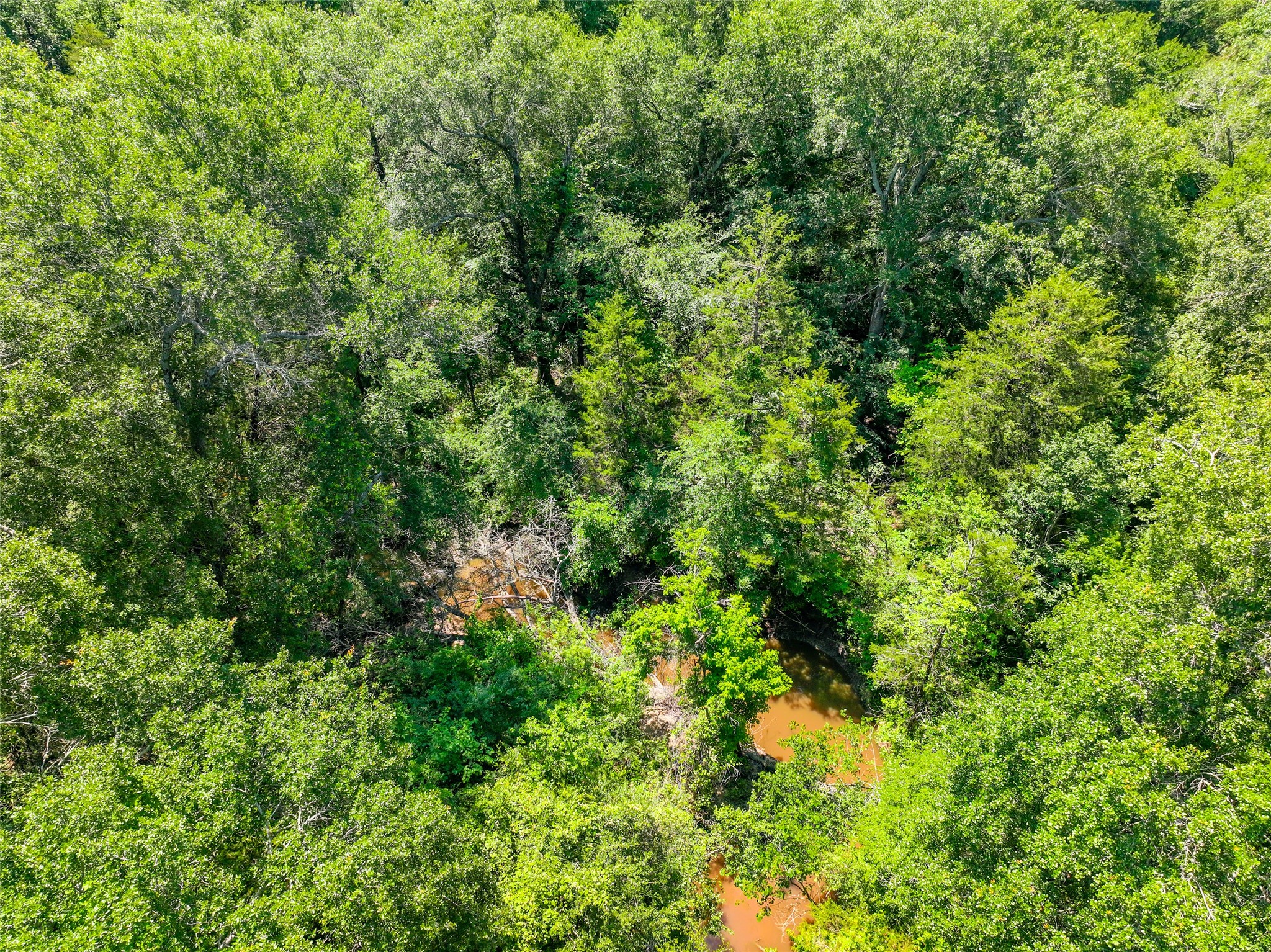 0 W County Road 2182 , Greenville, TX, 75402 | 20623106 | Realty Texas LLC