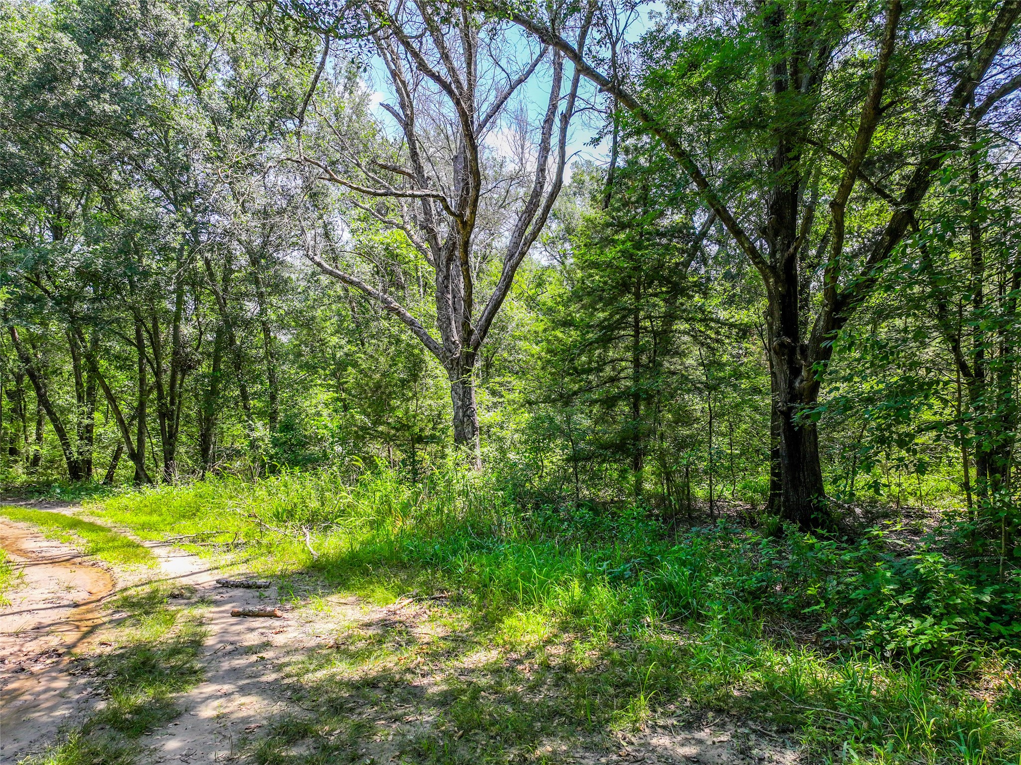 0 W County Road 2182 , Greenville, TX, 75402 | 20623106 | Realty Texas LLC