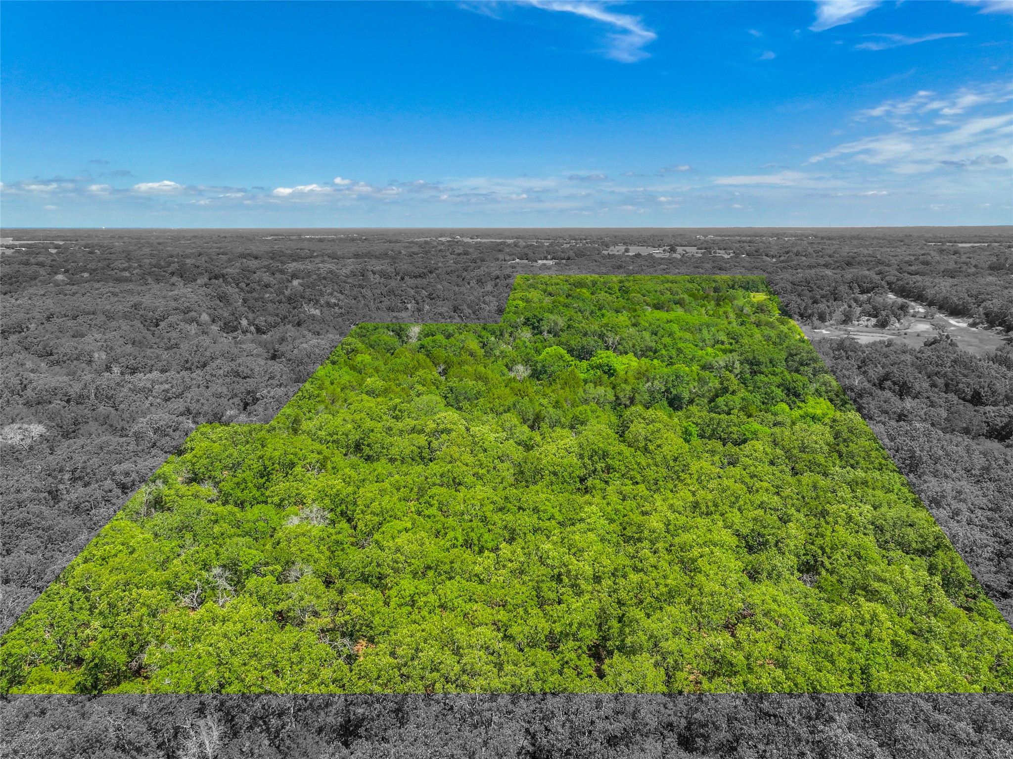 0 W County Road 2182 , Greenville, TX, 75402 | 20623106 | Realty Texas LLC