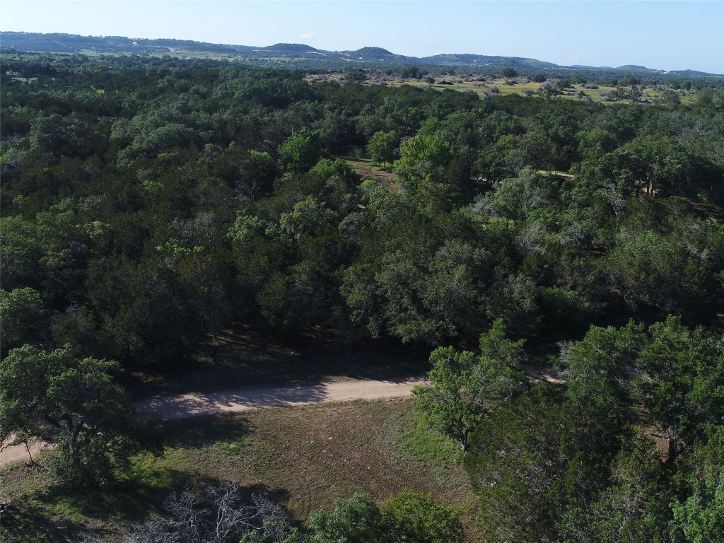 767 Rolling Hills , Blanco, TX, 78606 | 3146369 | Realty Texas LLC