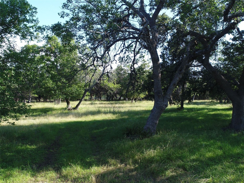 767 Rolling Hills , Blanco, TX, 78606 | 3146369 | Realty Texas LLC