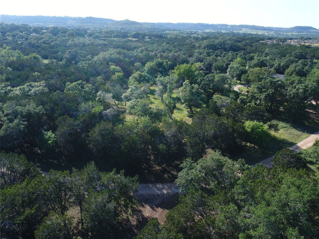 767 Rolling Hills , Blanco, TX, 78606 | 3146369 | Realty Texas LLC