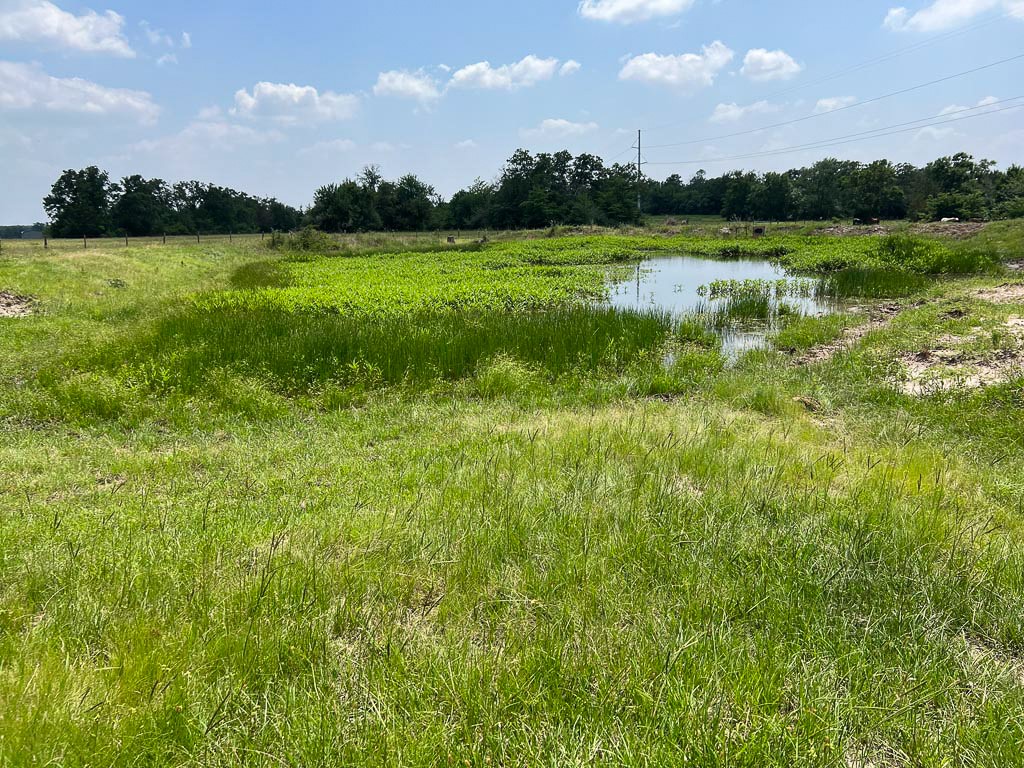 Tract #4 FM 2562 Road, Richards, TX, 77873 | 16743791 | Realty Texas LLC
