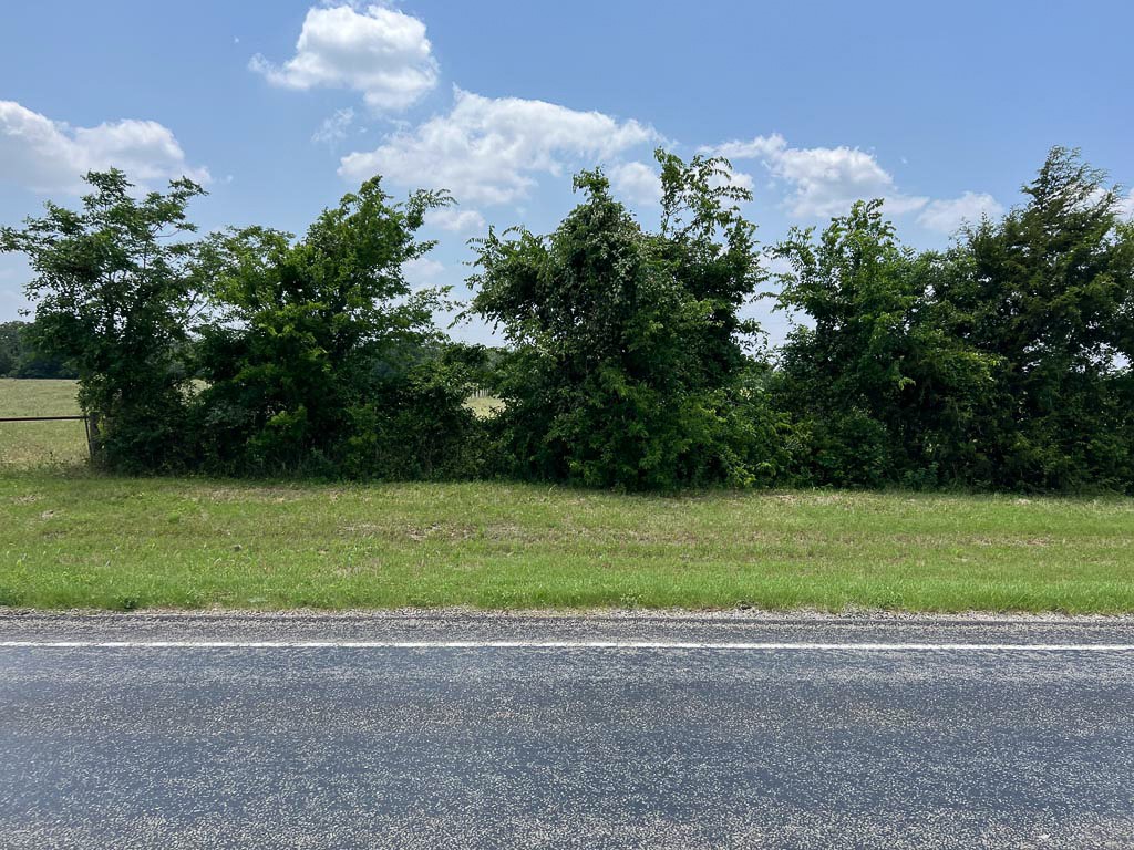 Tract #4 FM 2562 Road, Richards, TX, 77873 | 16743791 | Realty Texas LLC