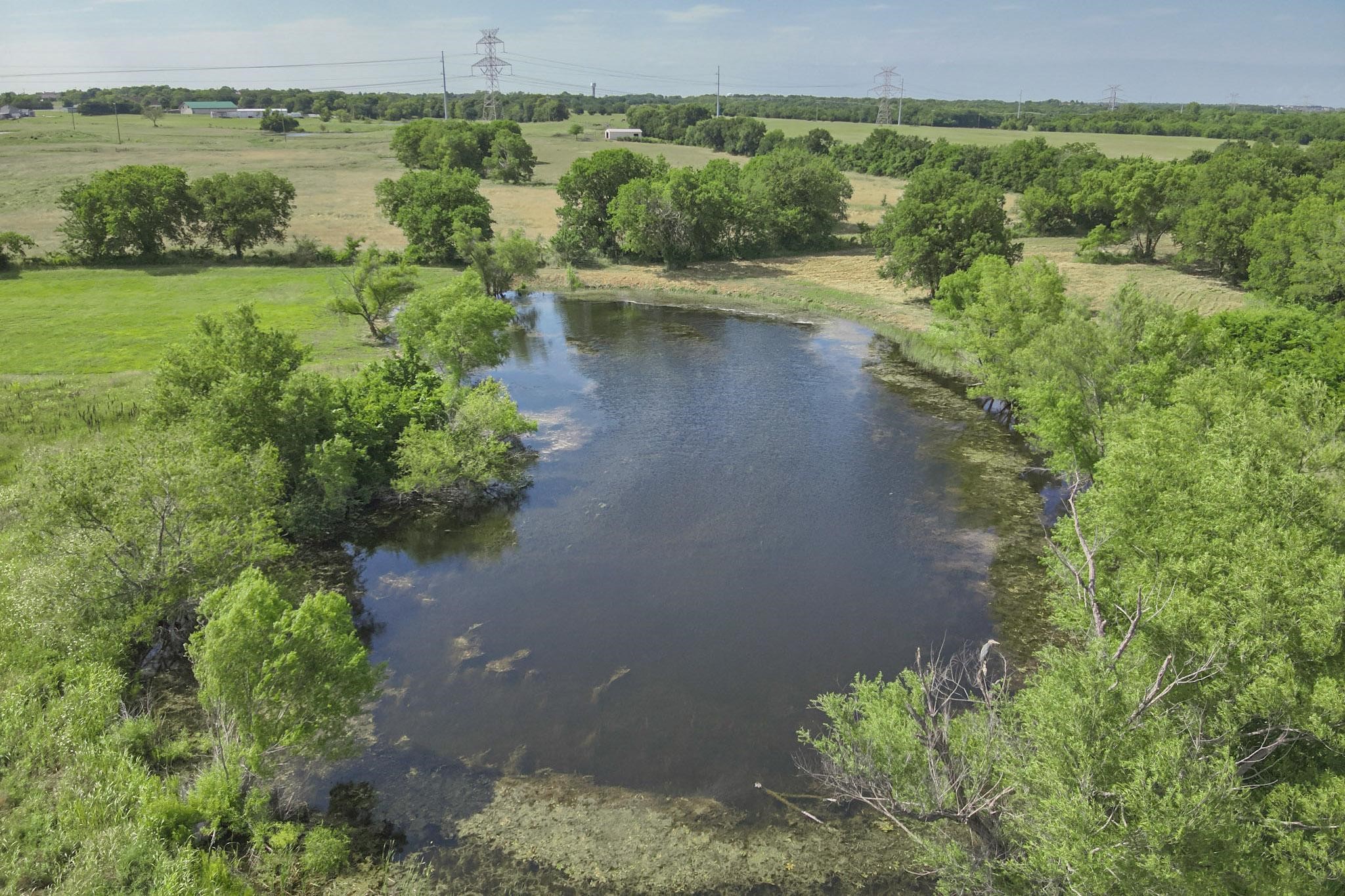12578 Saddle Club Drive, Forney, TX, 75126 | 20619189 | Realty Texas LLC