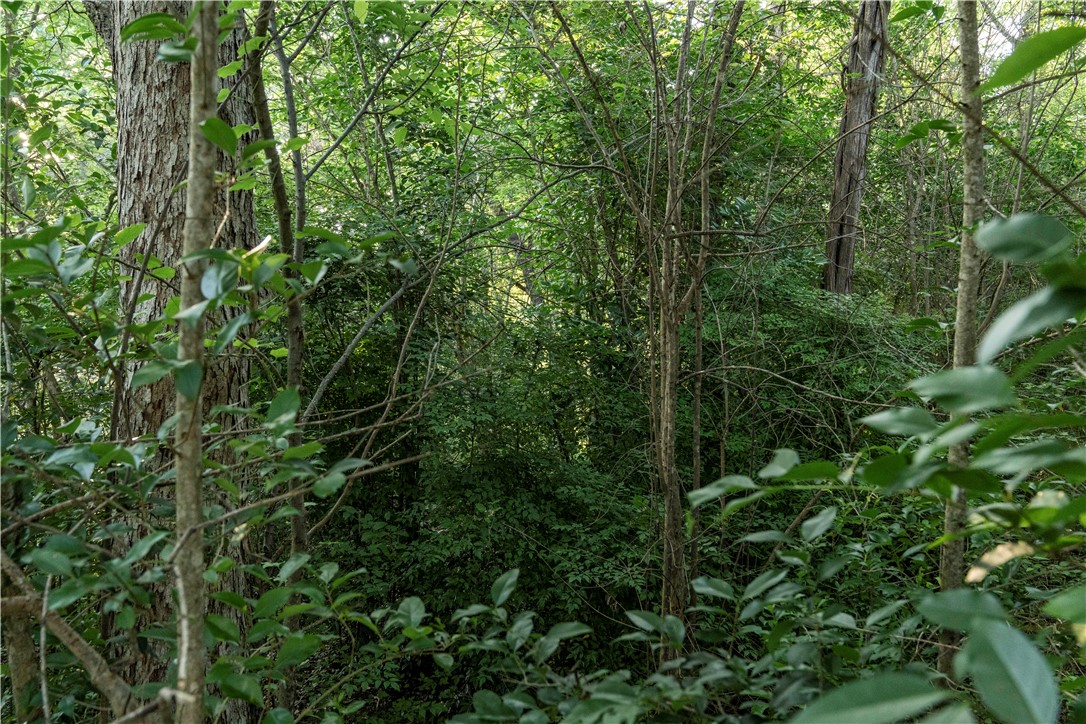 2918 Maple Hill Circle , Waco, TX, 76708 | 223087 | Realty Texas LLC