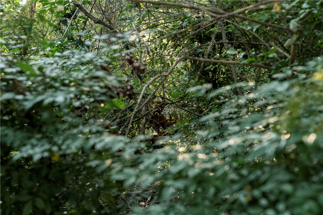 2918 Maple Hill Circle , Waco, TX, 76708 | 223087 | Realty Texas LLC