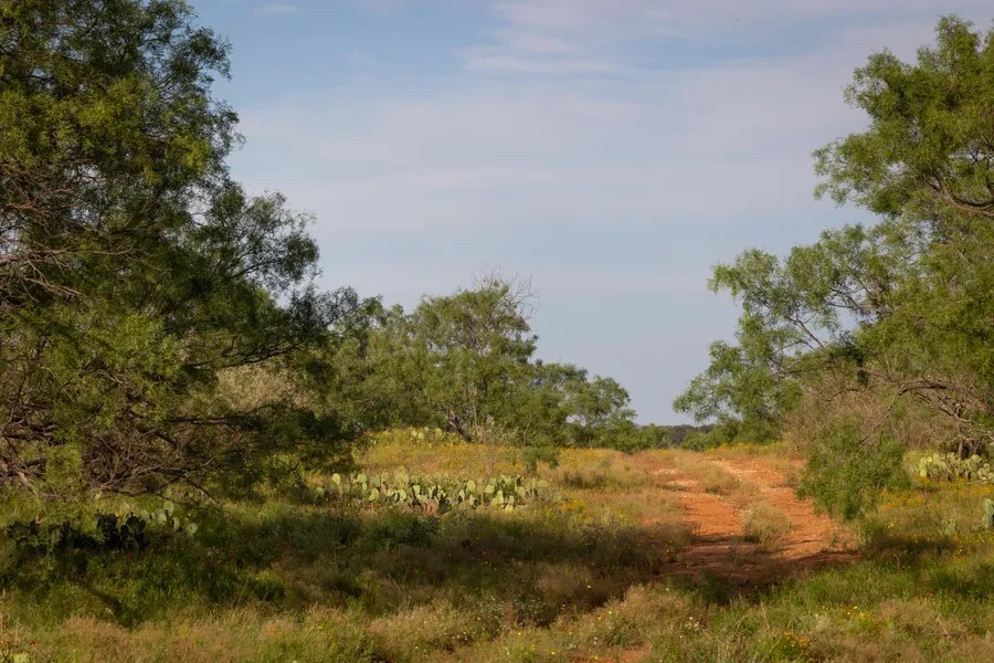 1895 N US Hwy 87 , Mason, TX, 76856 | 7631618 | Realty Texas LLC