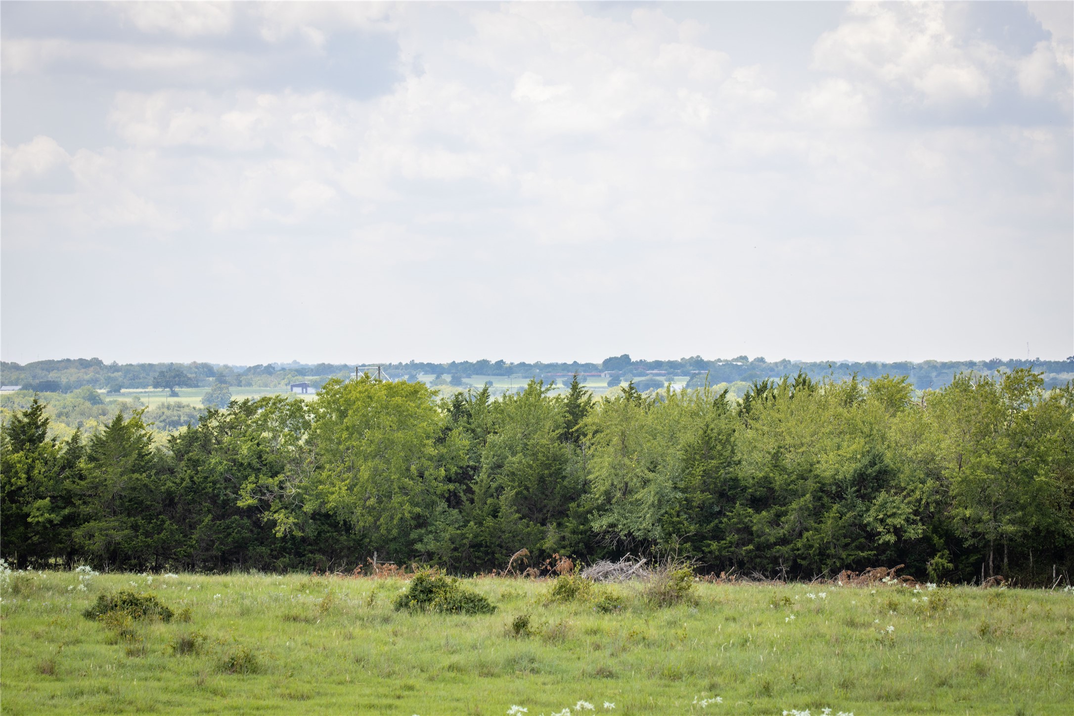 Lot 2D Vineyard View Trail , Carmine, TX, 78940 | 85016782 | Realty Texas LLC