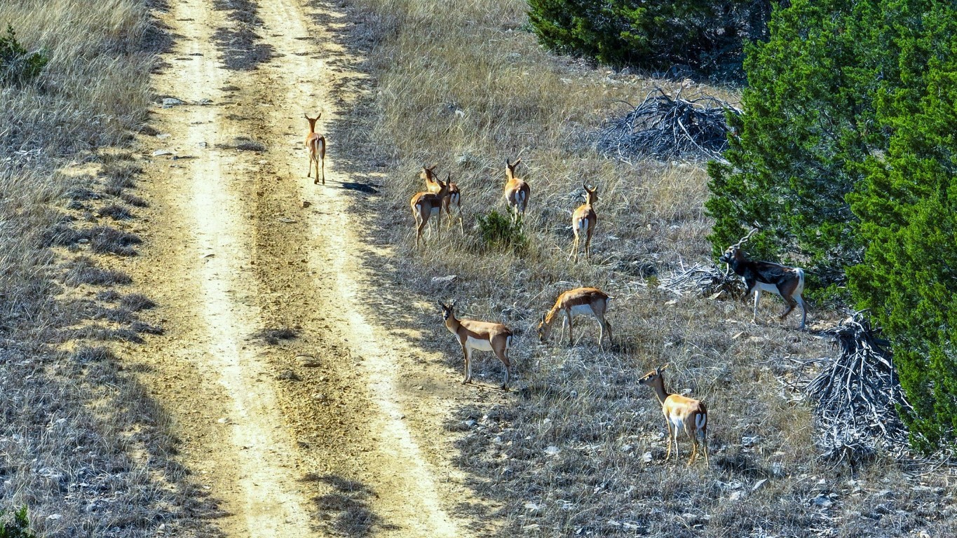 3681 K2 Road, Mountain Home, TX, 78058 | 33478067 | Realty Texas LLC