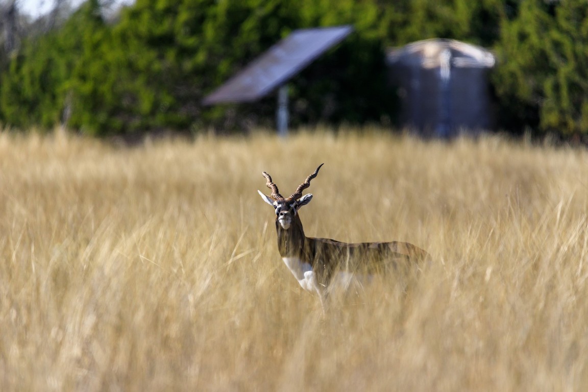 3681 K2 Road, Mountain Home, TX, 78058 | 33478067 | Realty Texas LLC