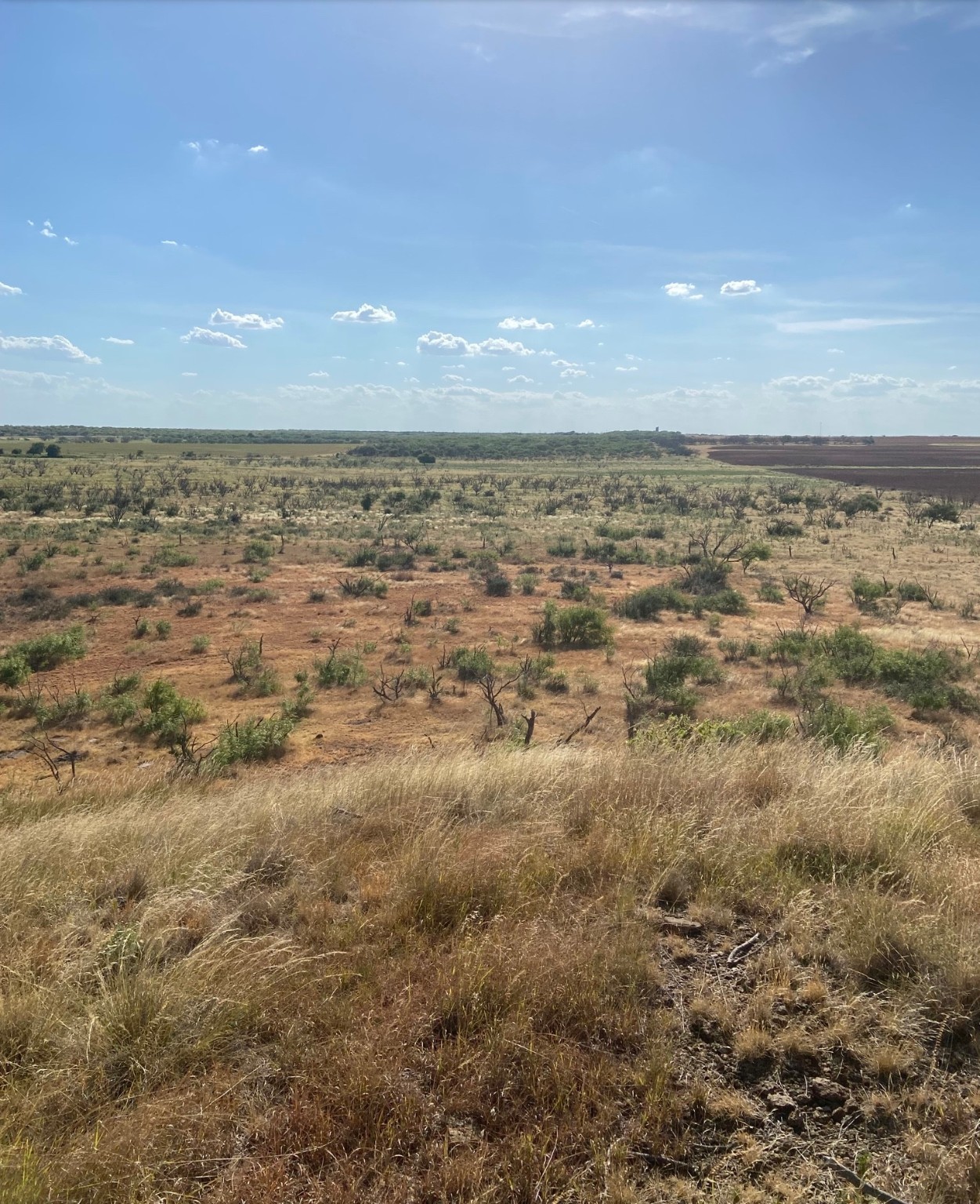 0000 Terrapin, Megargel, TX, 76370 | 20628019 | Realty Texas LLC