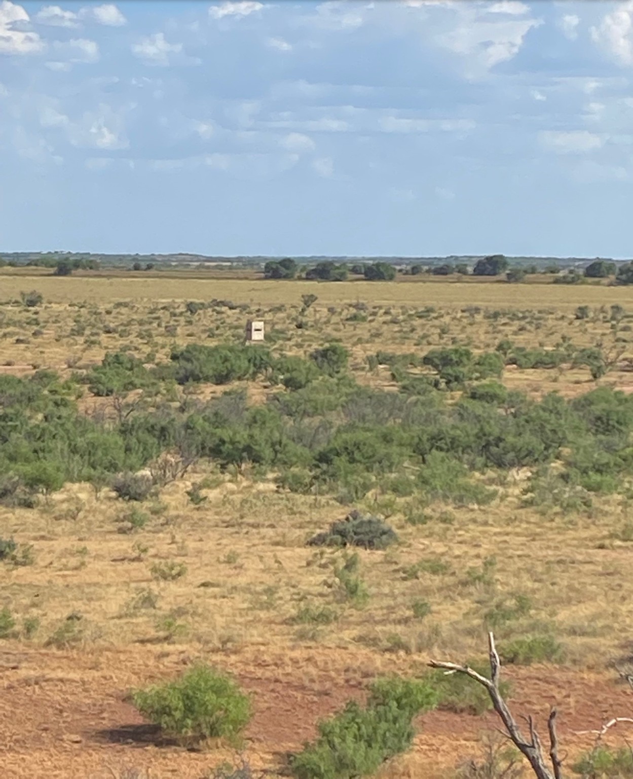 0000 Terrapin, Megargel, TX, 76370 | 20628019 | Realty Texas LLC