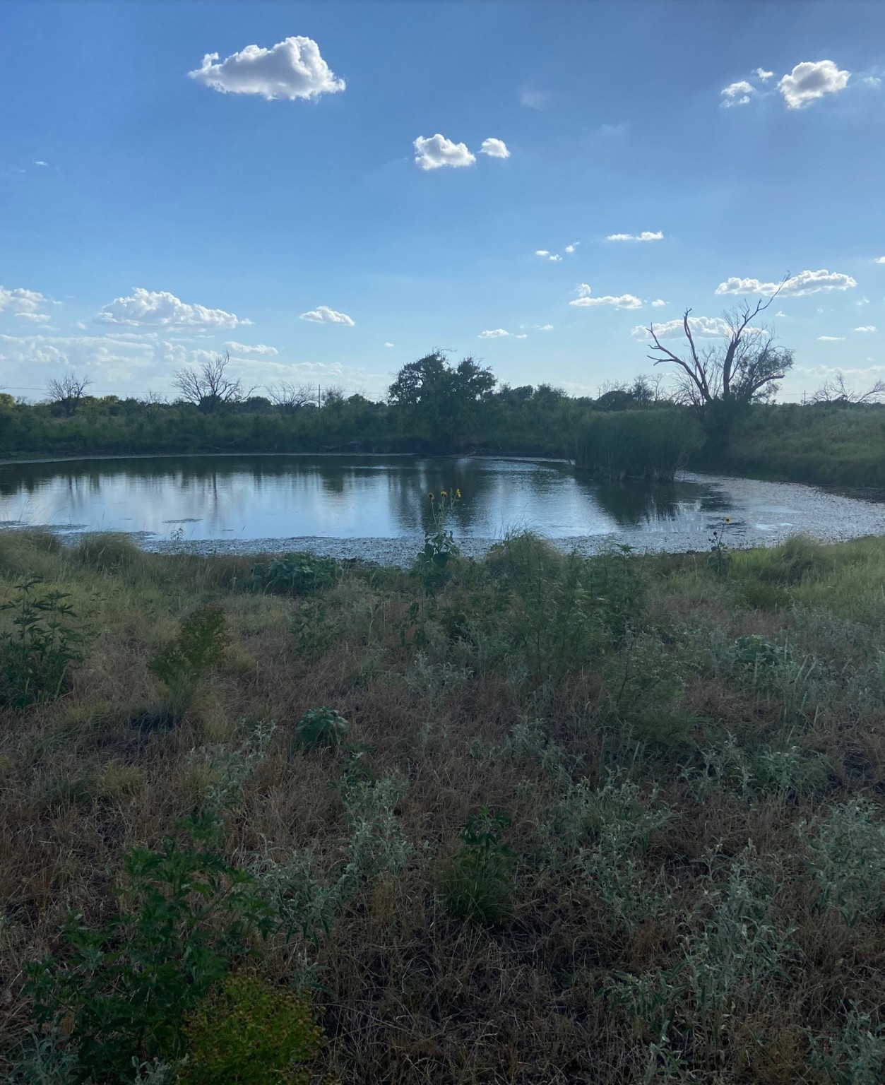 0000 Terrapin, Megargel, TX, 76370 | 20628019 | Realty Texas LLC