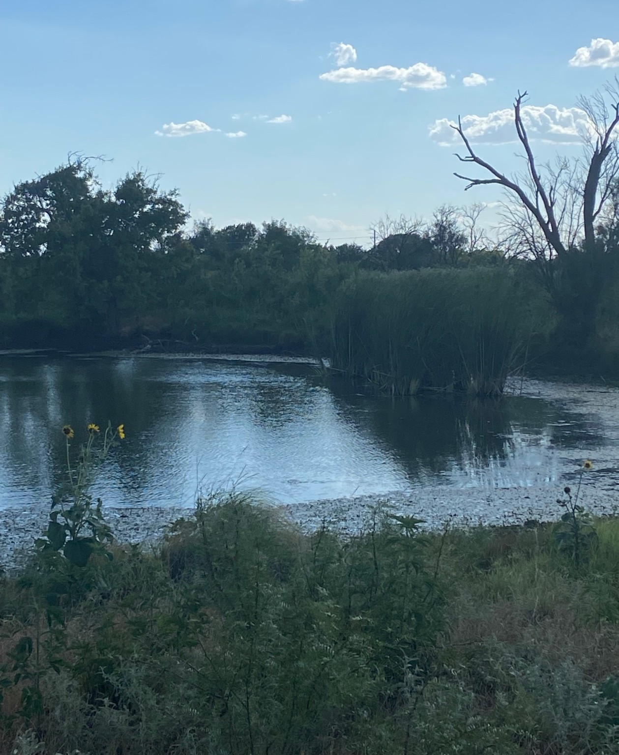 0000 Terrapin, Megargel, TX, 76370 | 20628019 | Realty Texas LLC