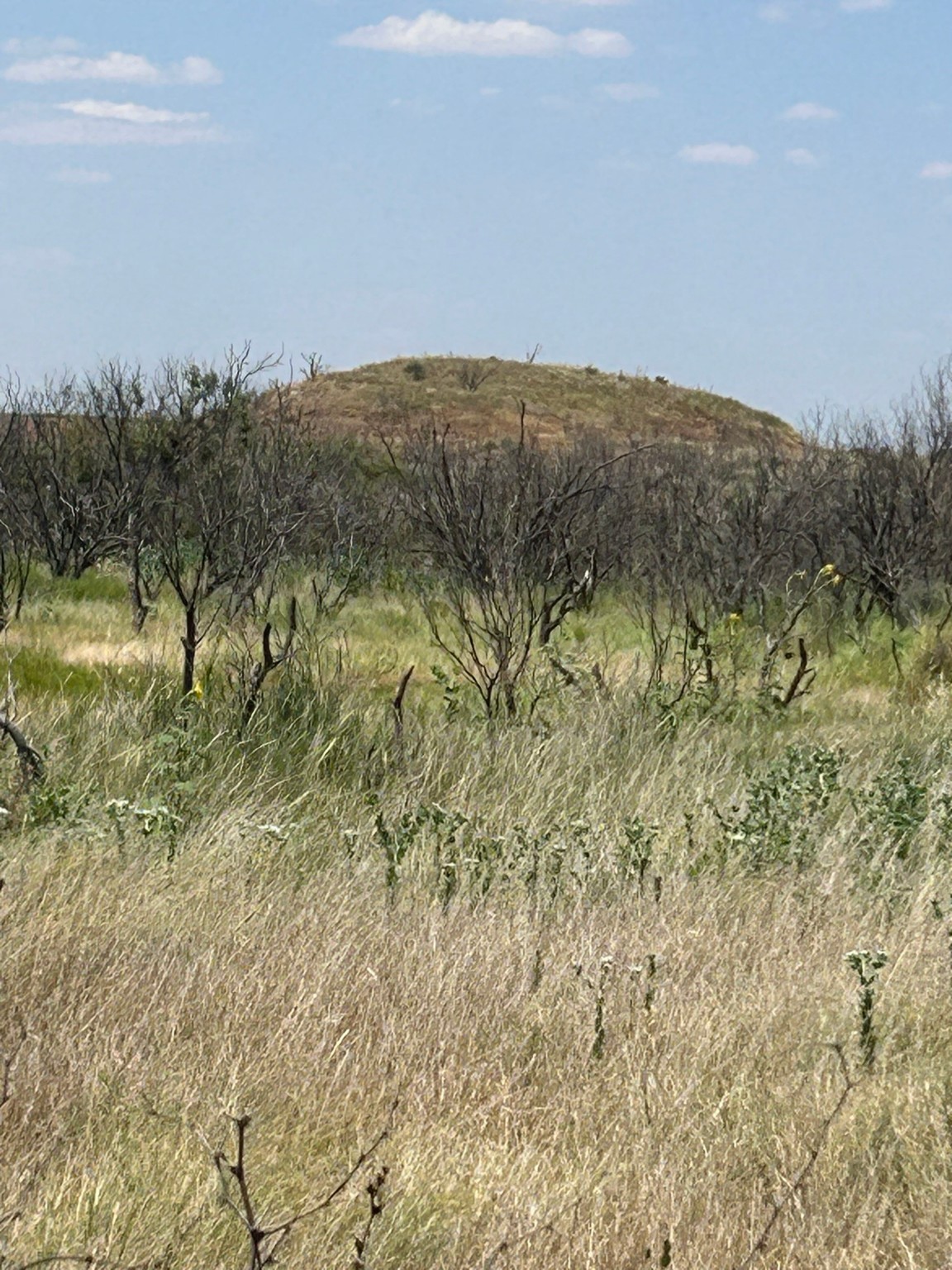 0000 Terrapin, Megargel, TX, 76370 | 20628019 | Realty Texas LLC