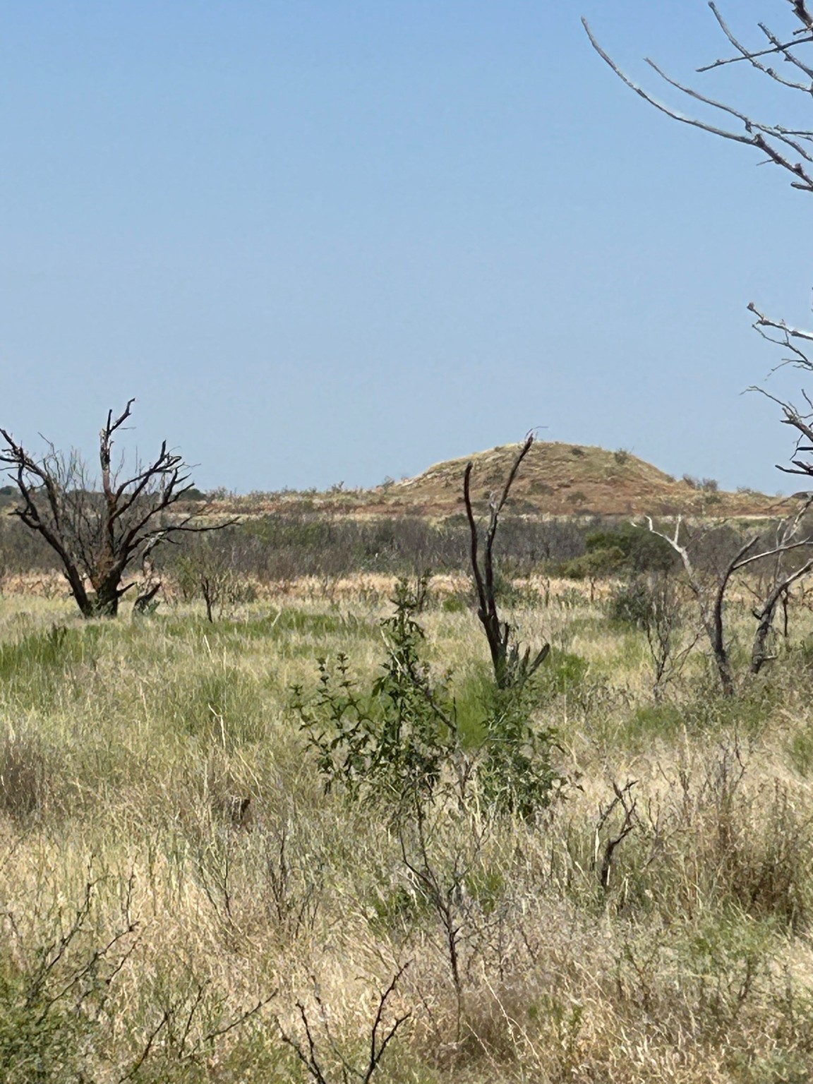 0000 Terrapin, Megargel, TX, 76370 | 20628019 | Realty Texas LLC