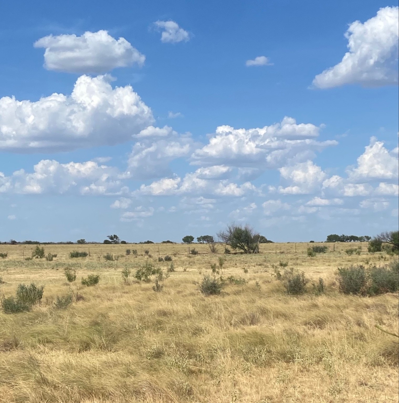 0000 Terrapin, Megargel, TX, 76370 | 20628019 | Realty Texas LLC