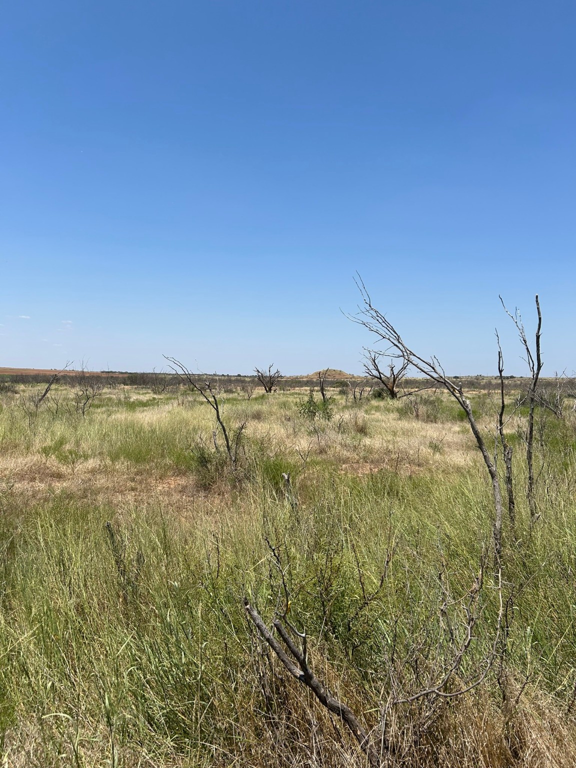 0000 Terrapin, Megargel, TX, 76370 | 20628019 | Realty Texas LLC