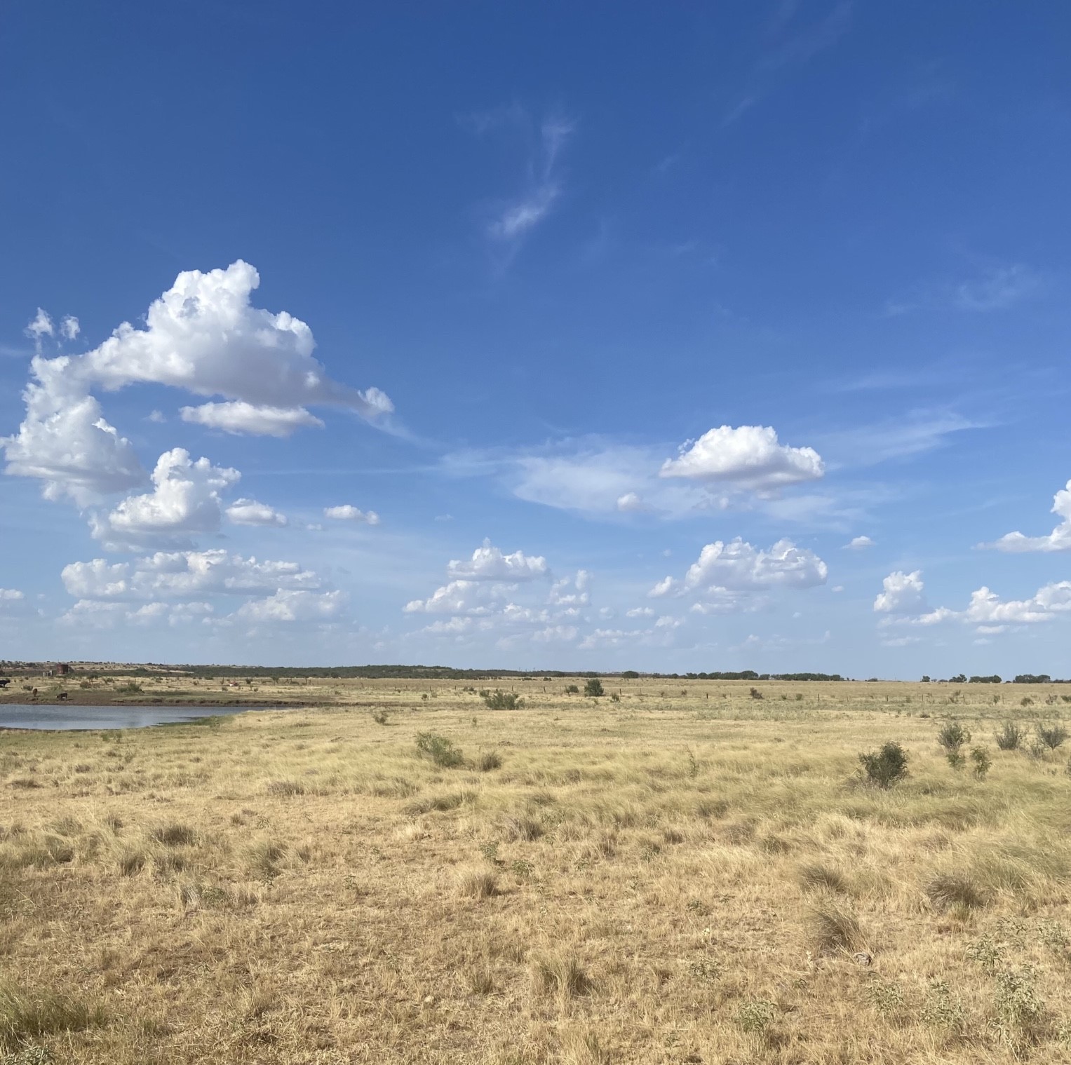 0000 Terrapin, Megargel, TX, 76370 | 20628019 | Realty Texas LLC