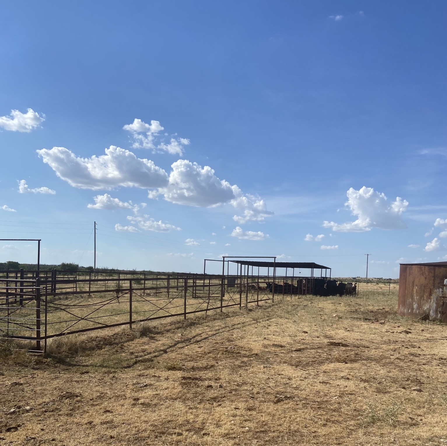 0000 Terrapin, Megargel, TX, 76370 | 20628019 | Realty Texas LLC