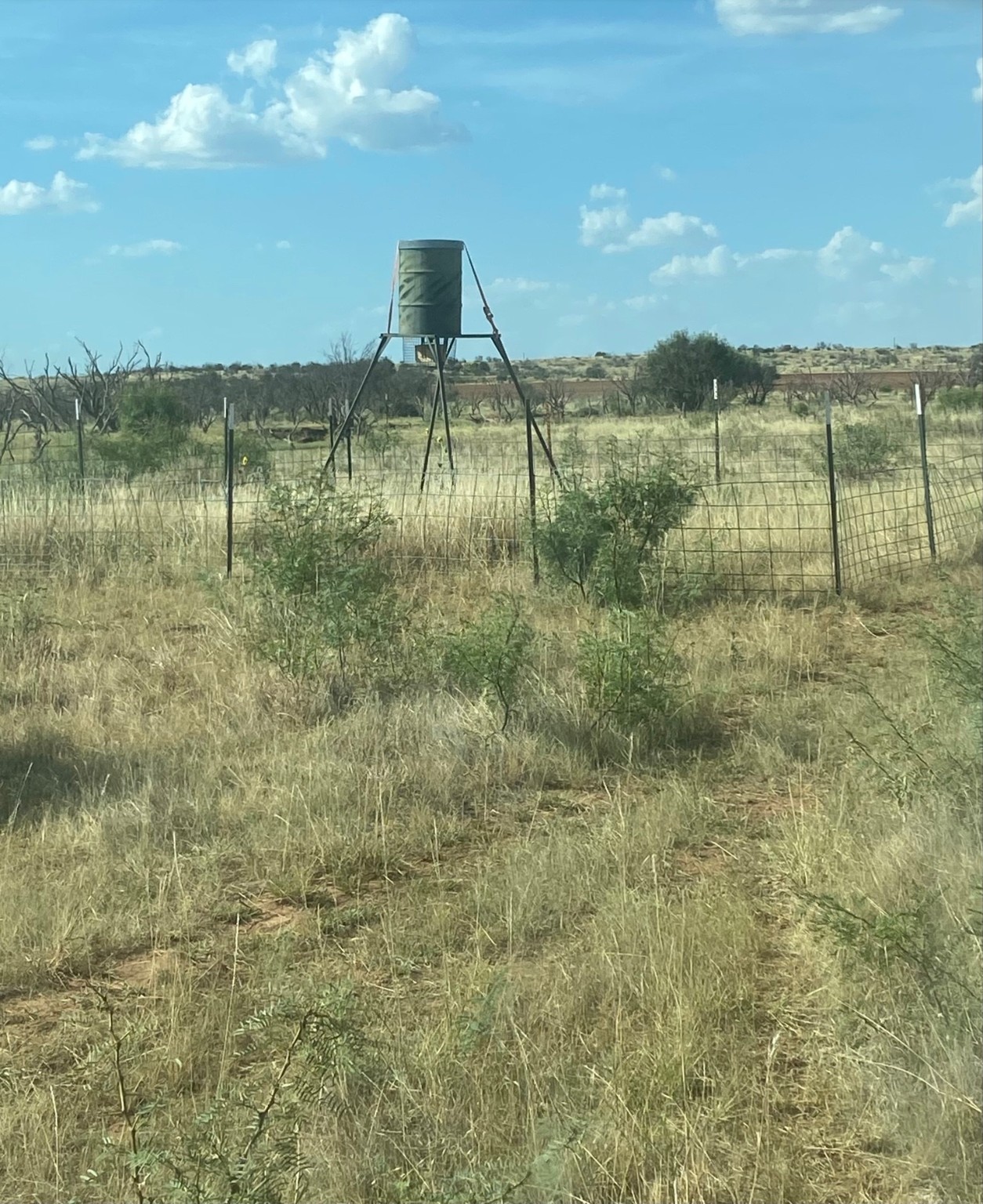 0000 Terrapin, Megargel, TX, 76370 | 20628019 | Realty Texas LLC