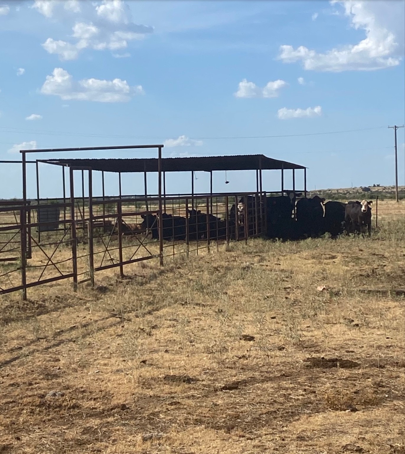 0000 Terrapin, Megargel, TX, 76370 | 20628019 | Realty Texas LLC