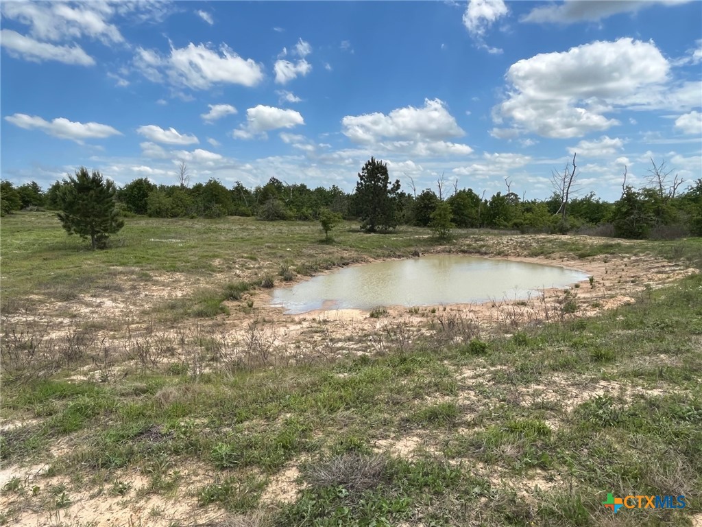 TBD Rifle Road , Rosanky, TX, 78953 | 545341 | Realty Texas LLC